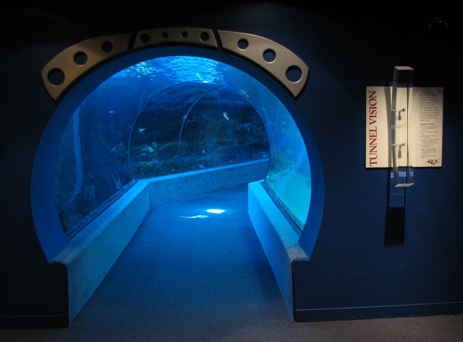 Open Ocean exhibit tunnel