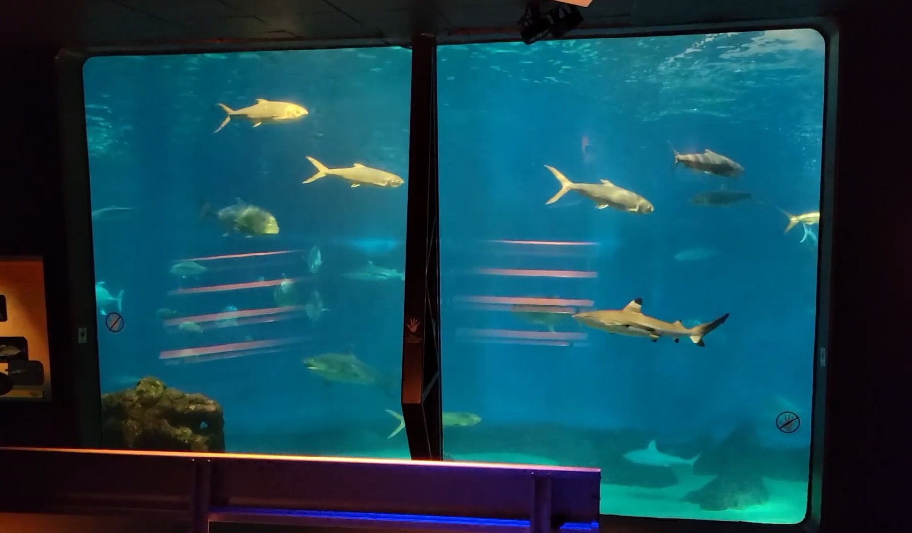 'Open Ocean' main viewing window