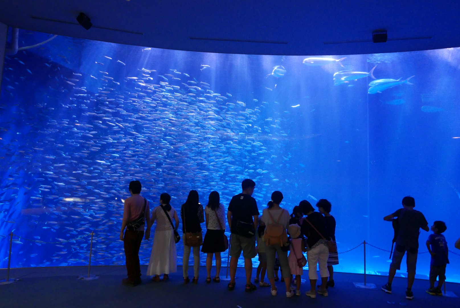 Open Ocean Tank