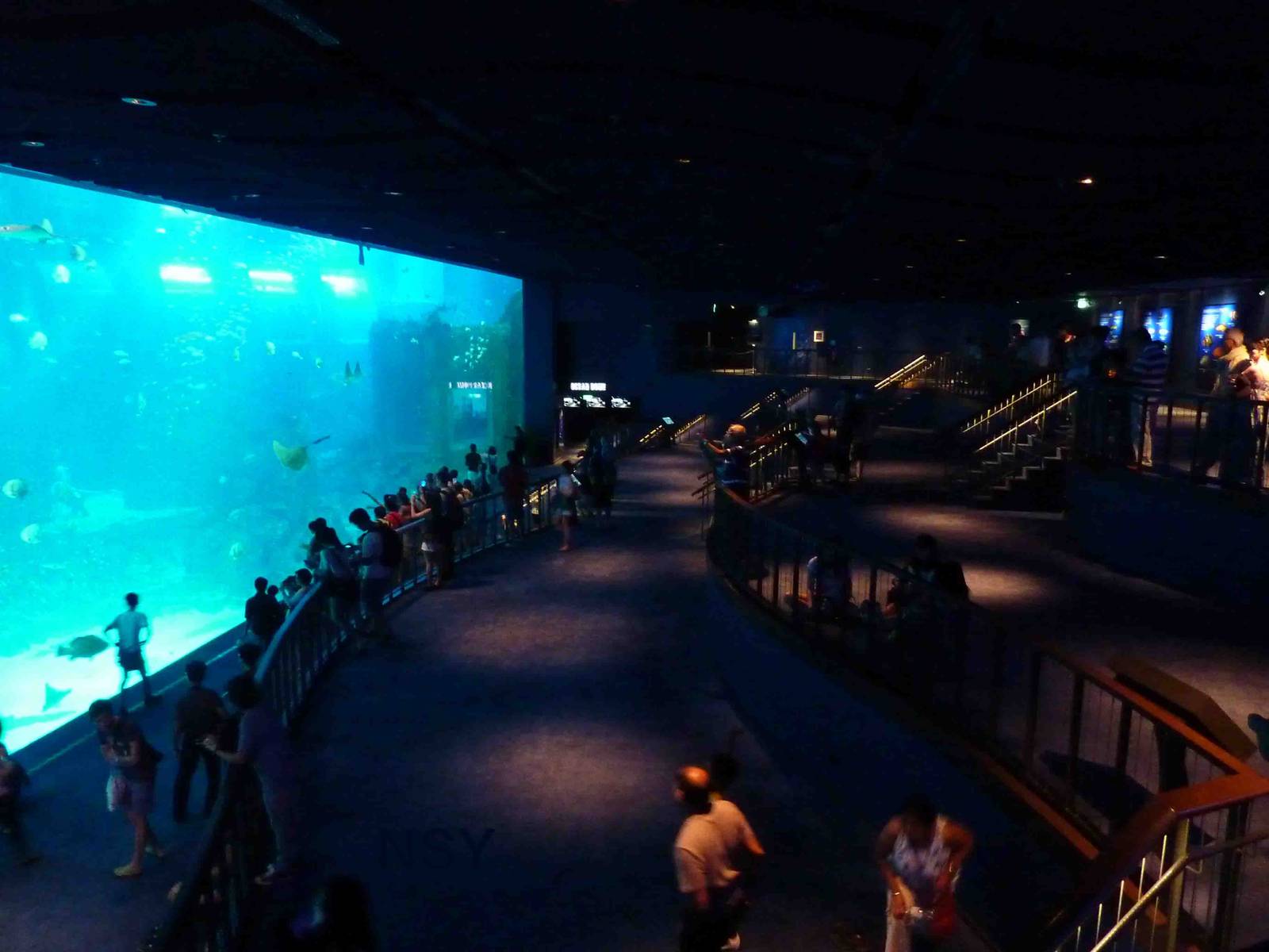 Open ocean viewing levels, S.E.A. Aquarium, May 2013.