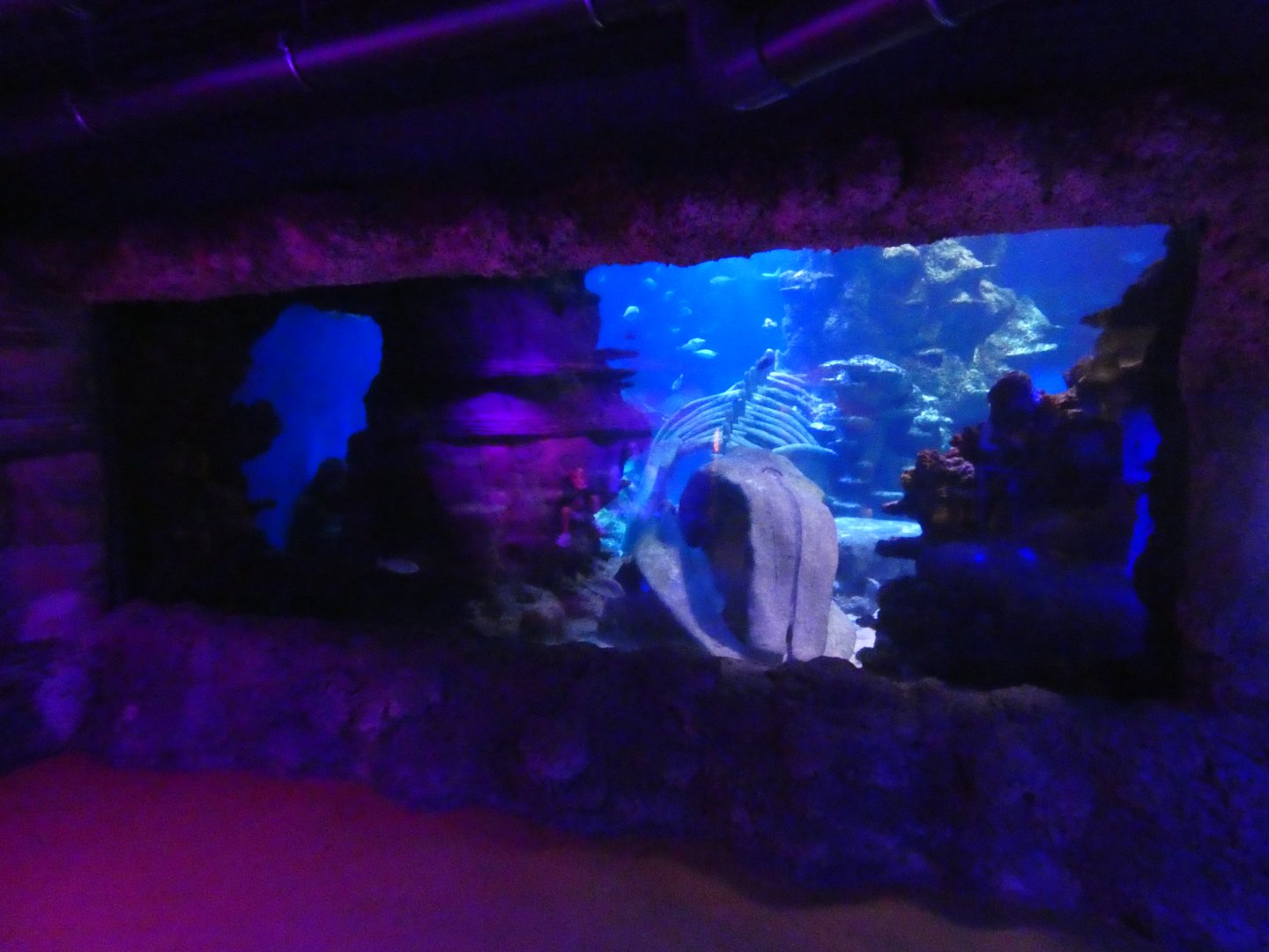 Open Oceans tank