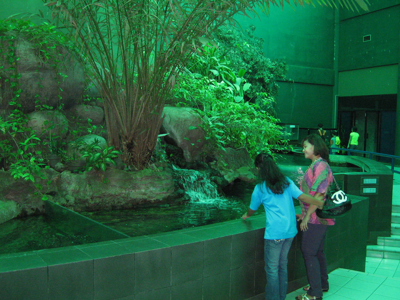open pools in the centre of the Aquarium