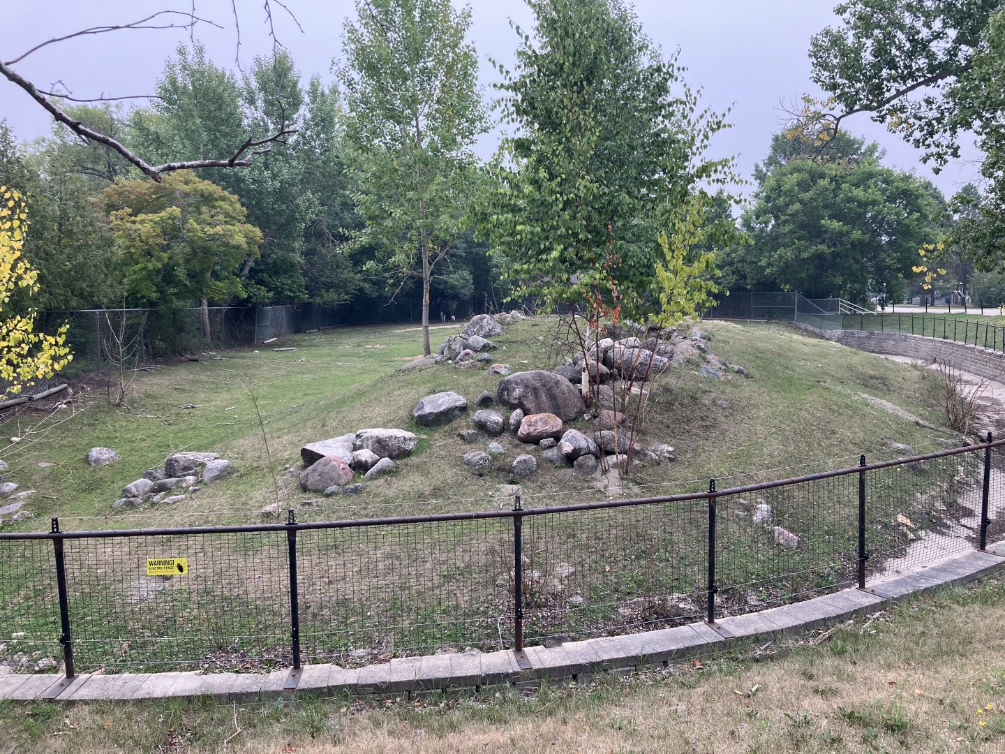 Open Range - Llama/Domestic Goat Exhibit