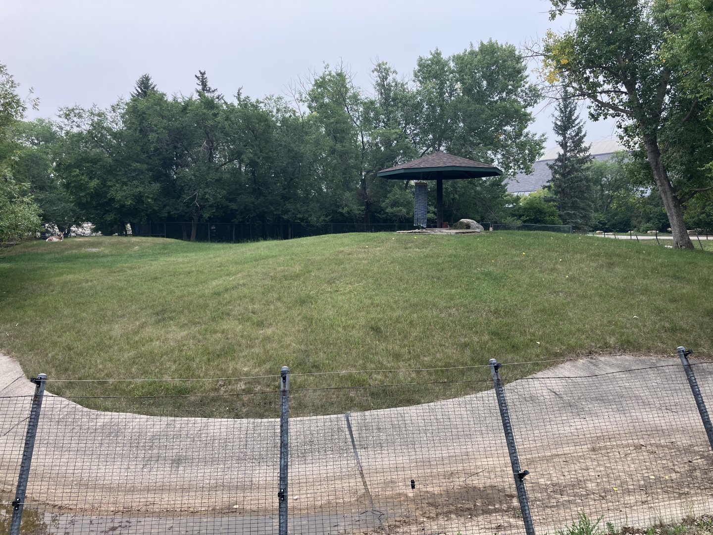 Open Range - Plains Pronghorn Exhibit