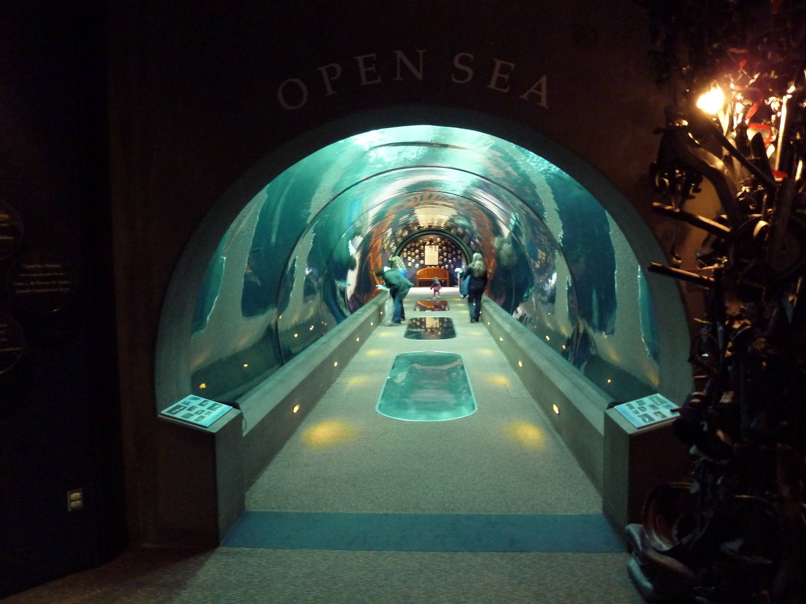 Open Sea Tunnel