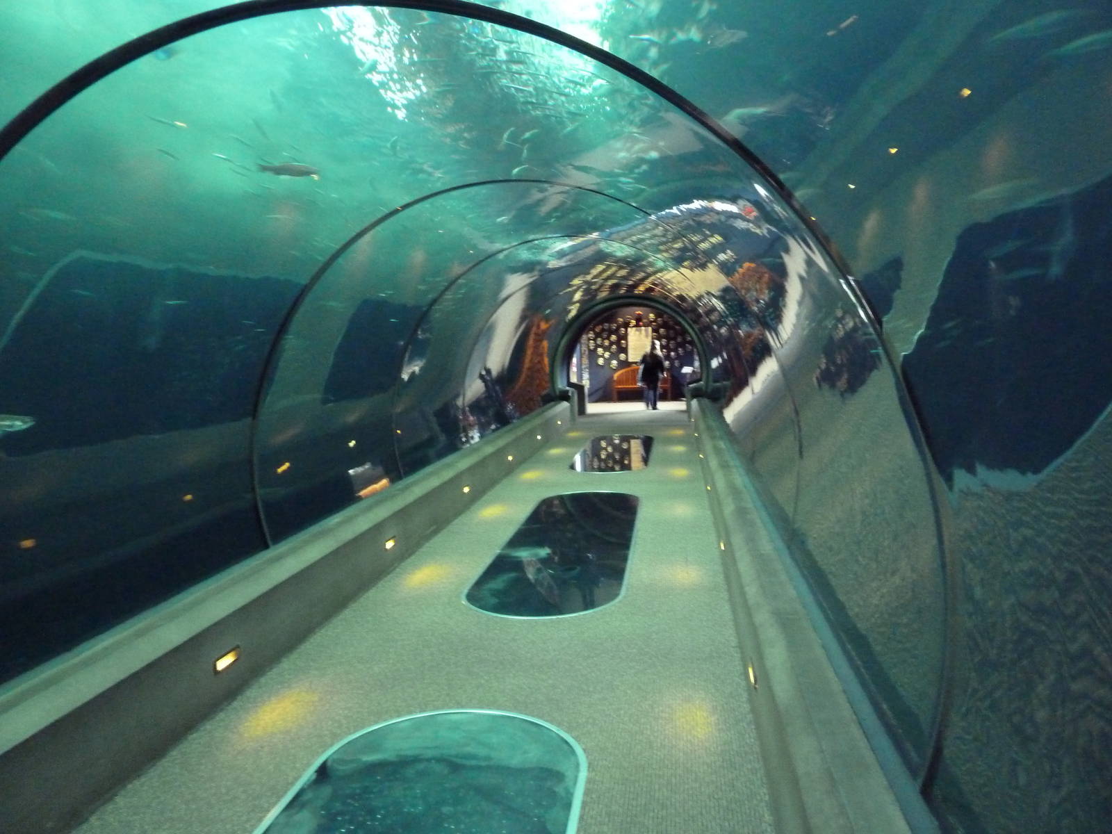 Open Sea Tunnel