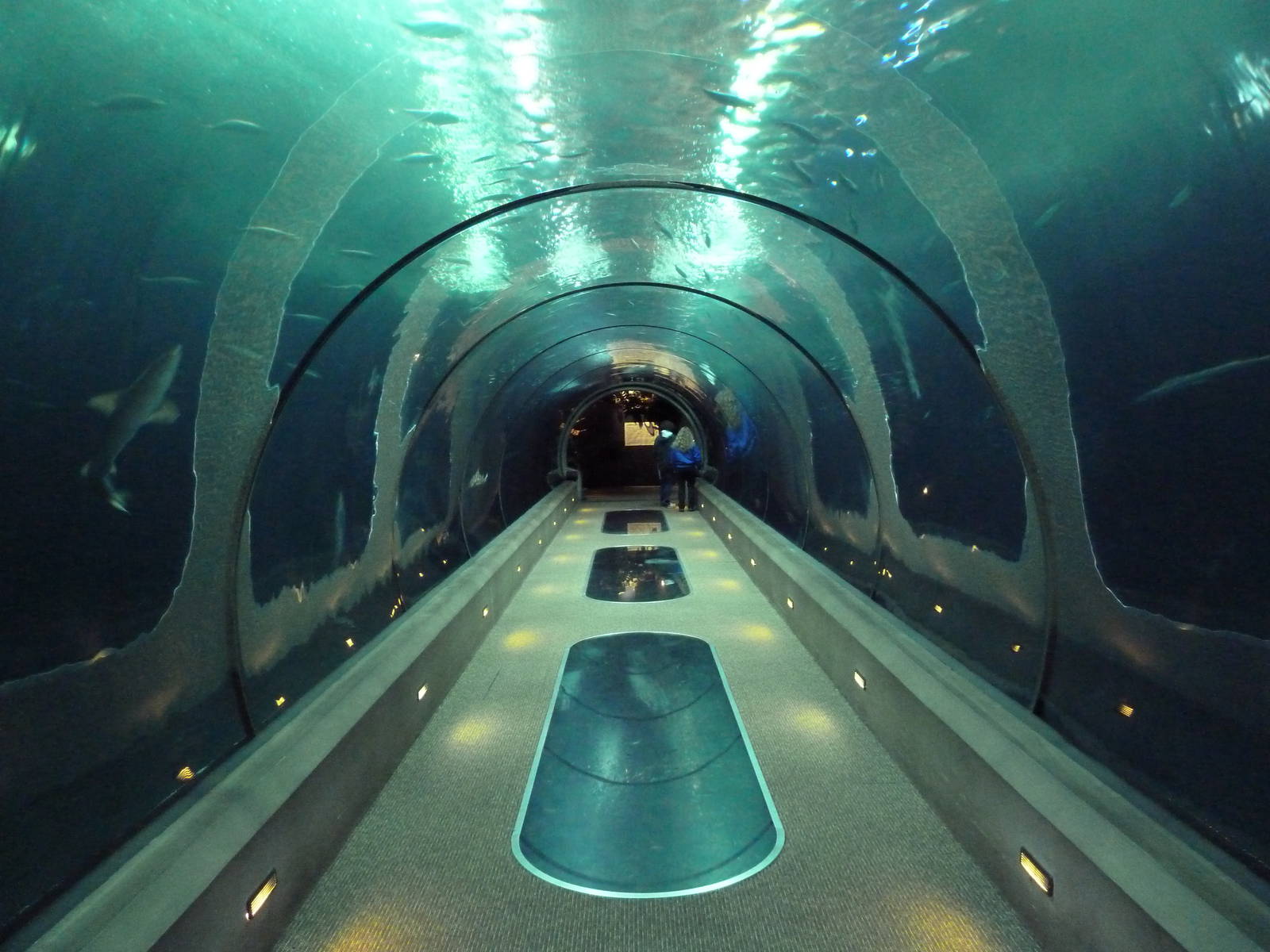 Open Sea Tunnel