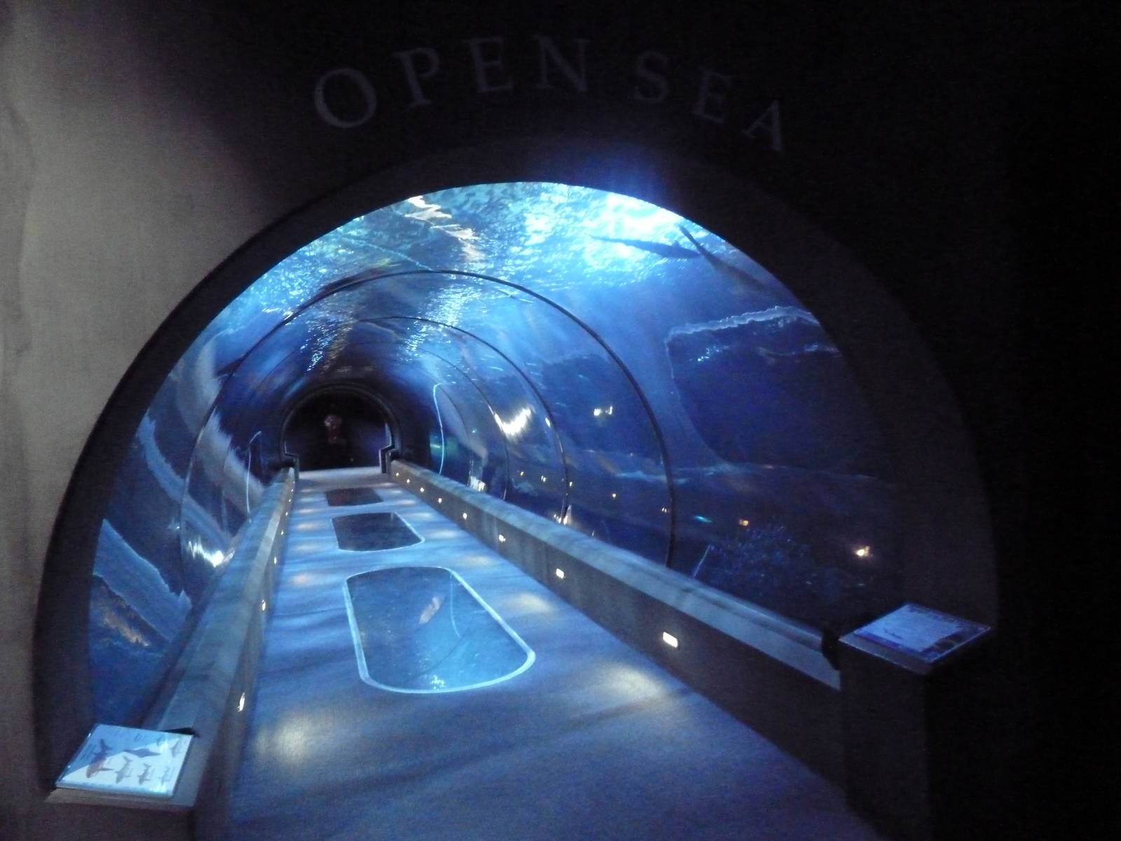 Open Sea Tunnel