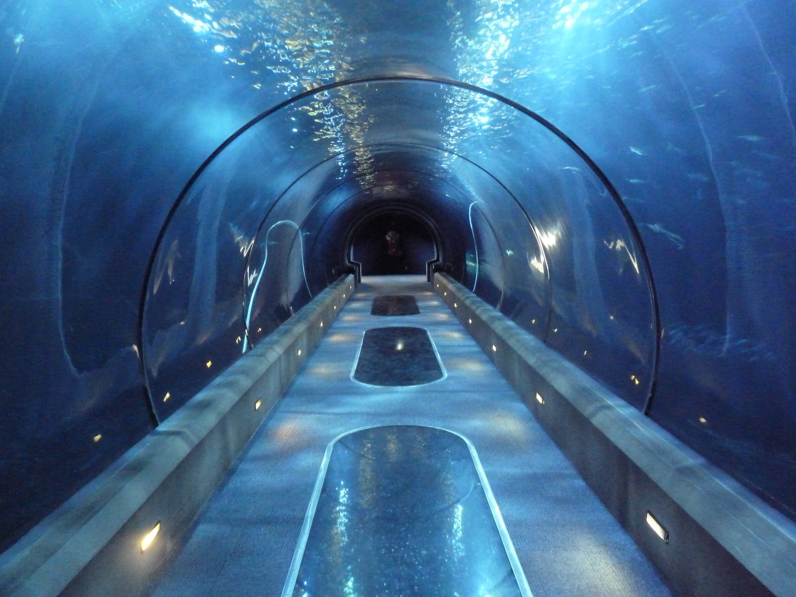 Open Sea Tunnel