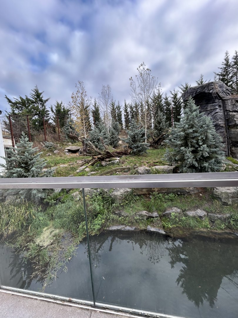 Open snow leopard exhibit