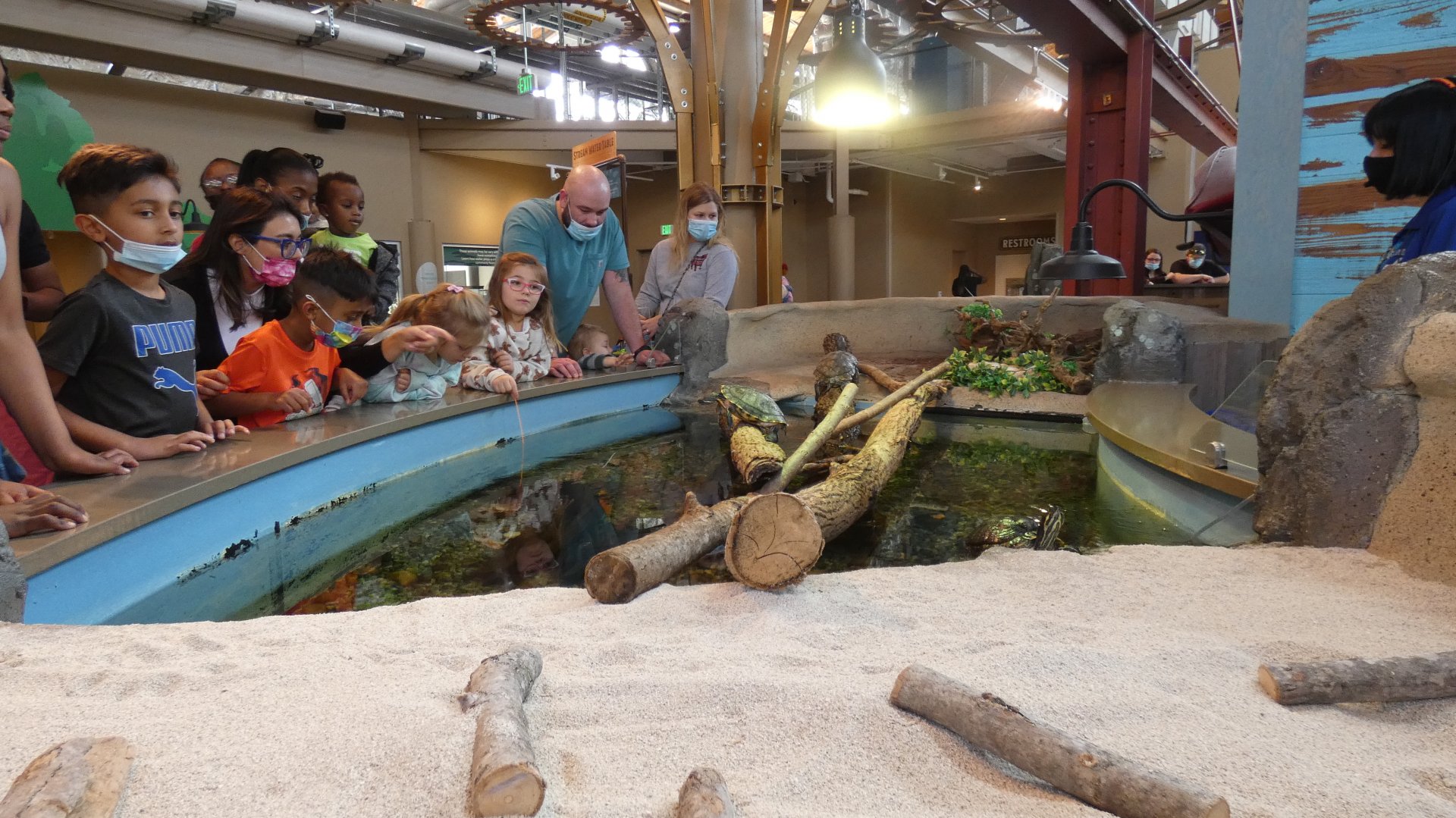 Open-toped Turtle Wetland Display, Changing Rivers - Mar. 2022