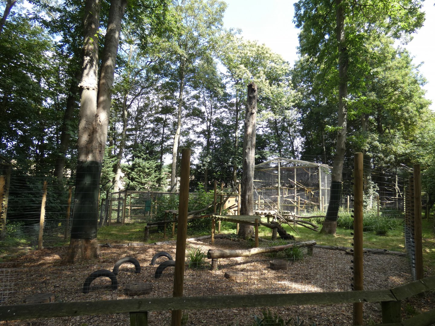 Open-topped Black-and-white Ruffed Lemur enclosure