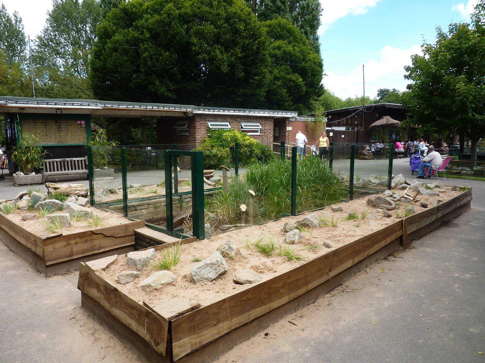 Open-topped harvest mouse enclosure - 10th August 2012
