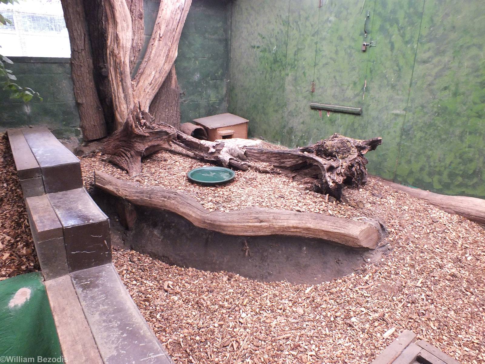 Open-topped Hedgehog Enclosure