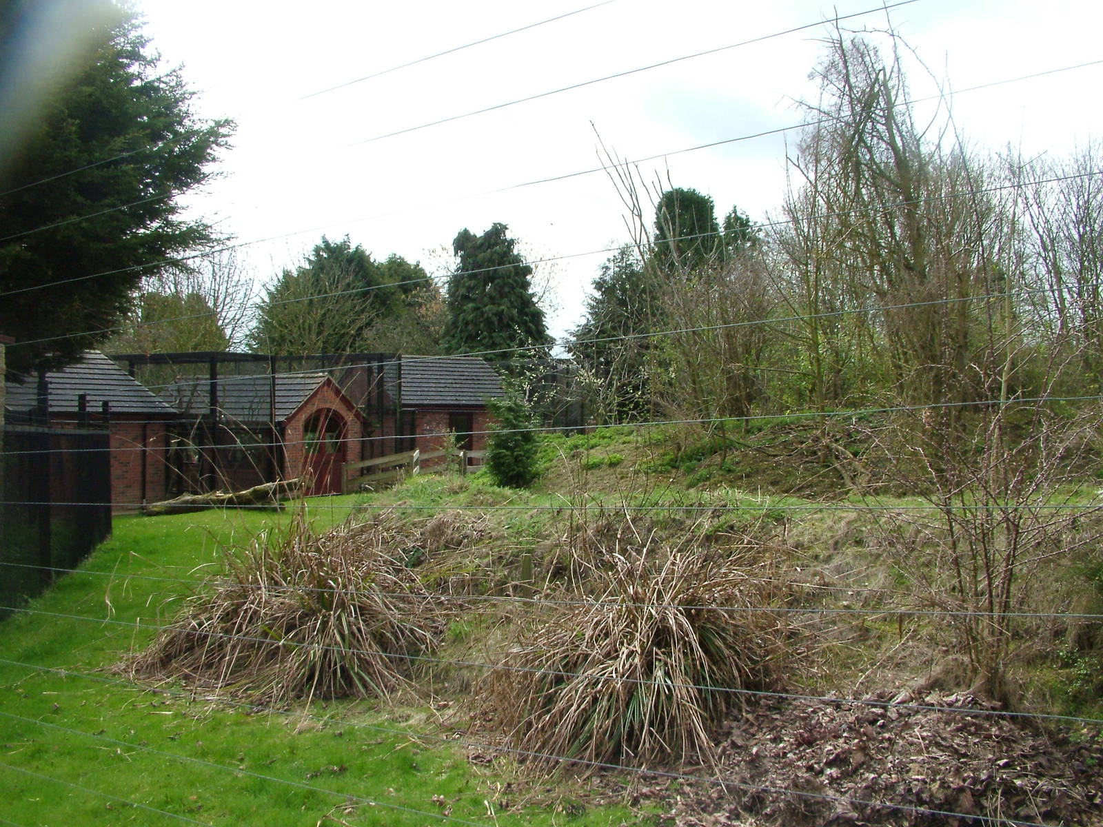 Open-topped lemur exhibit at Linton 05/04/10