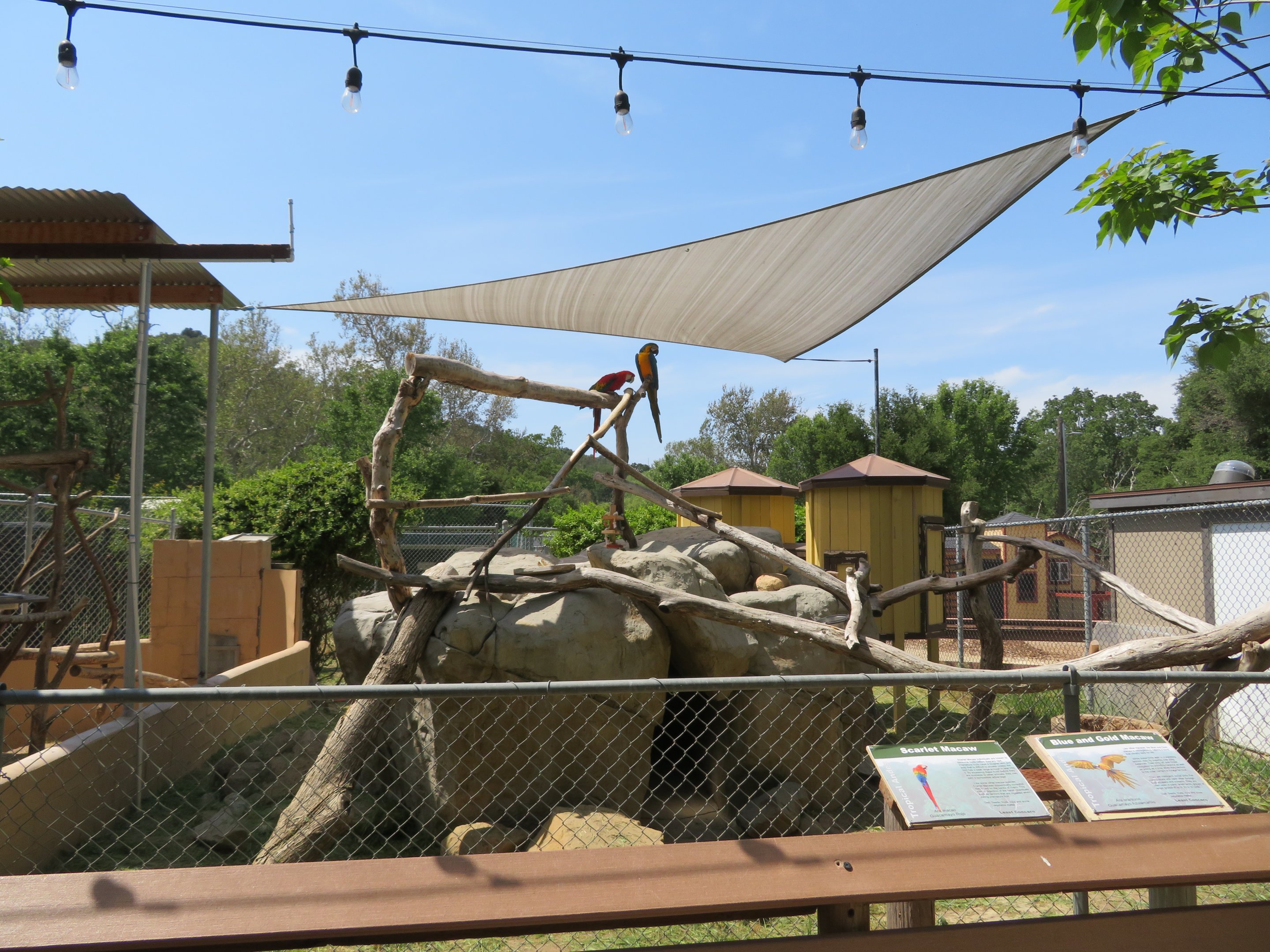 Open-topped Macaw Exhibit