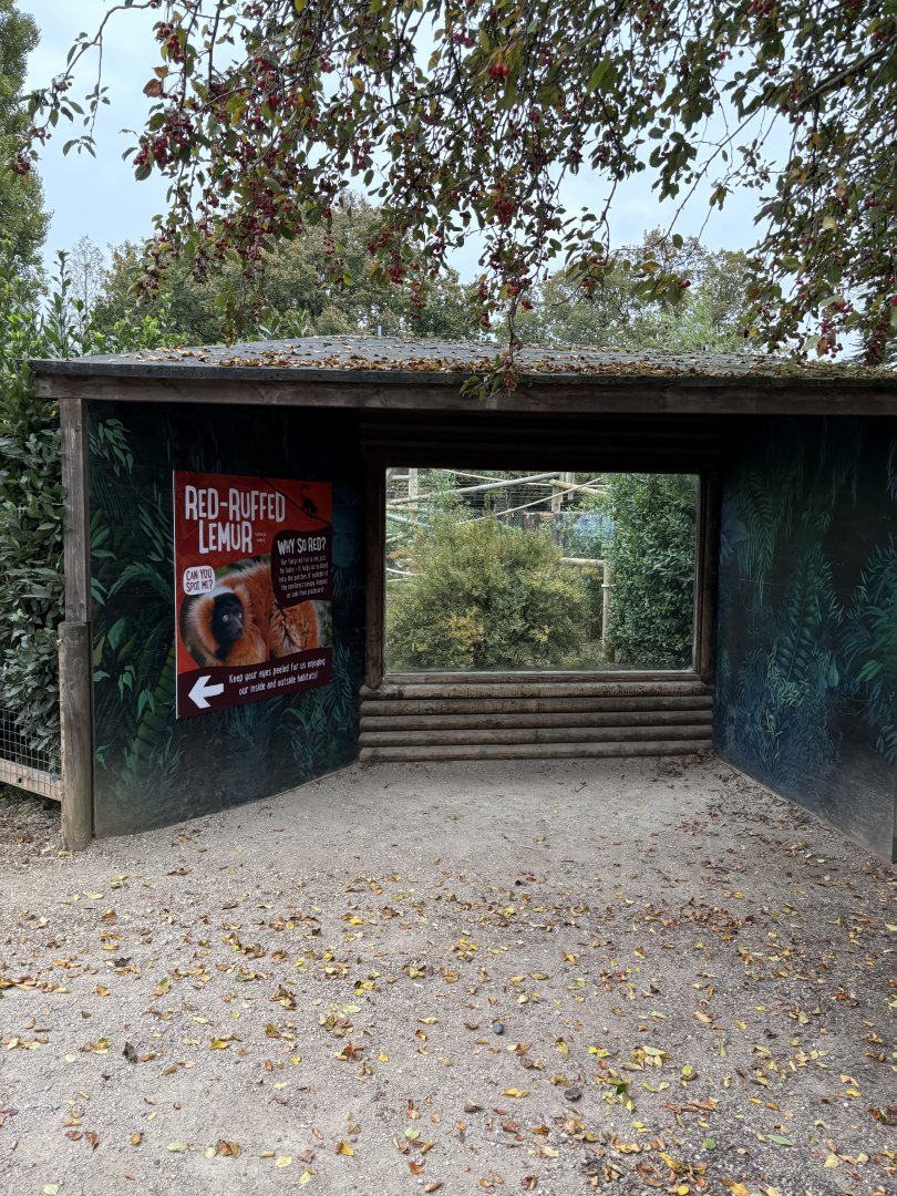Open Topped Red Ruffed Lemur Enclosure