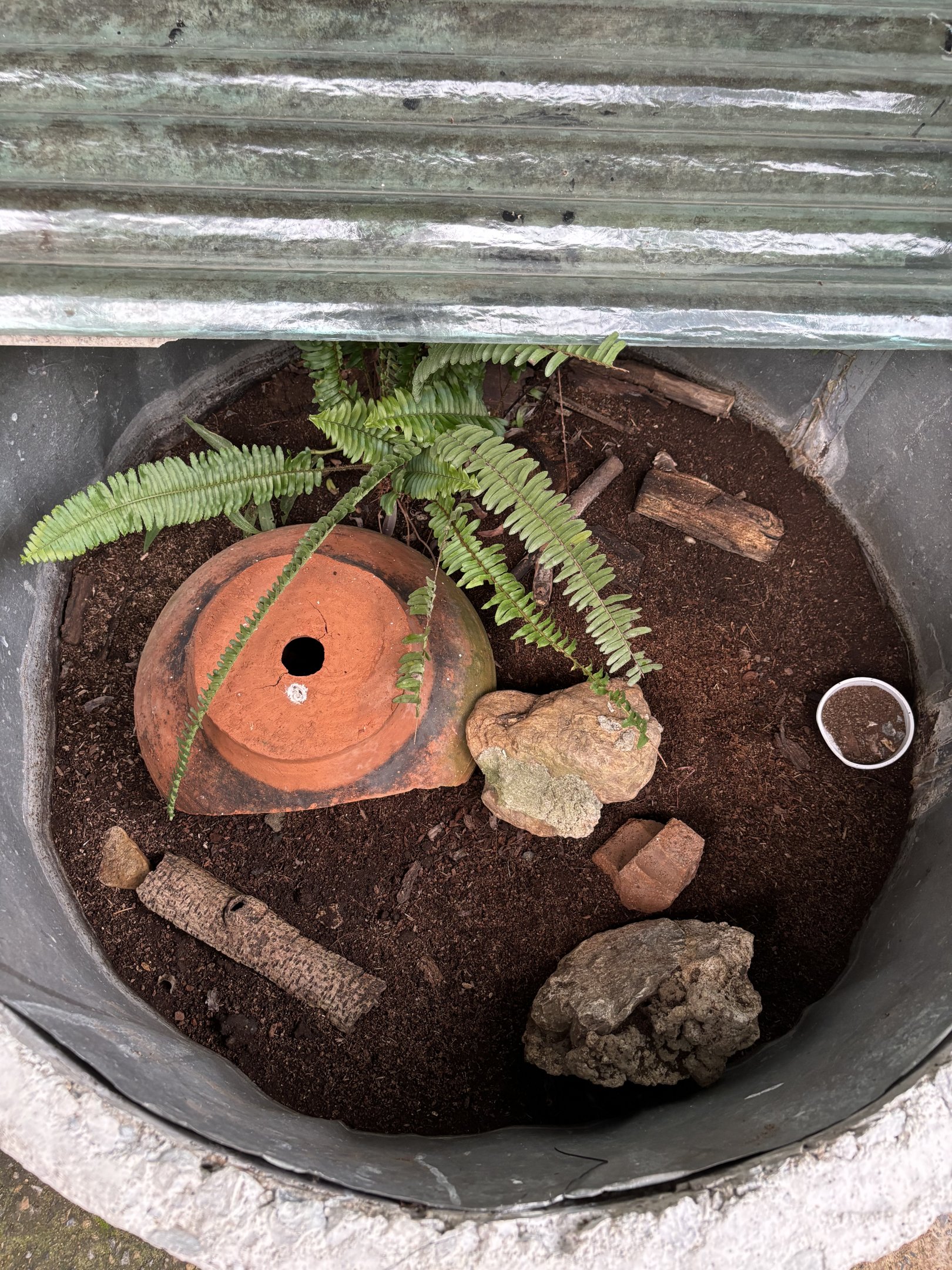 Open-topped Scorpion Exhibit