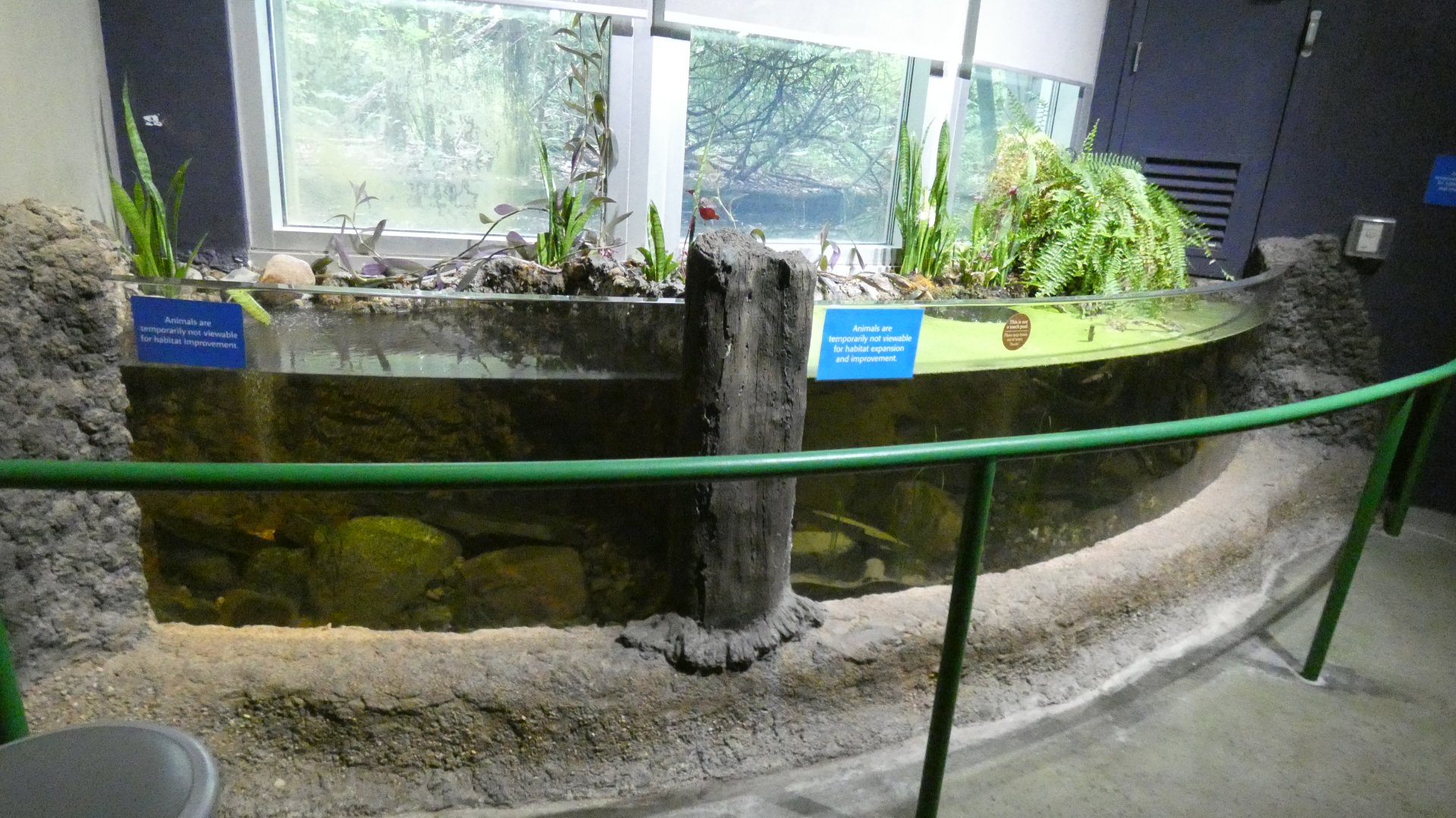Open-topped Stream Exhibit #2 & 3, National Amphibian Conservation Center - July 2022