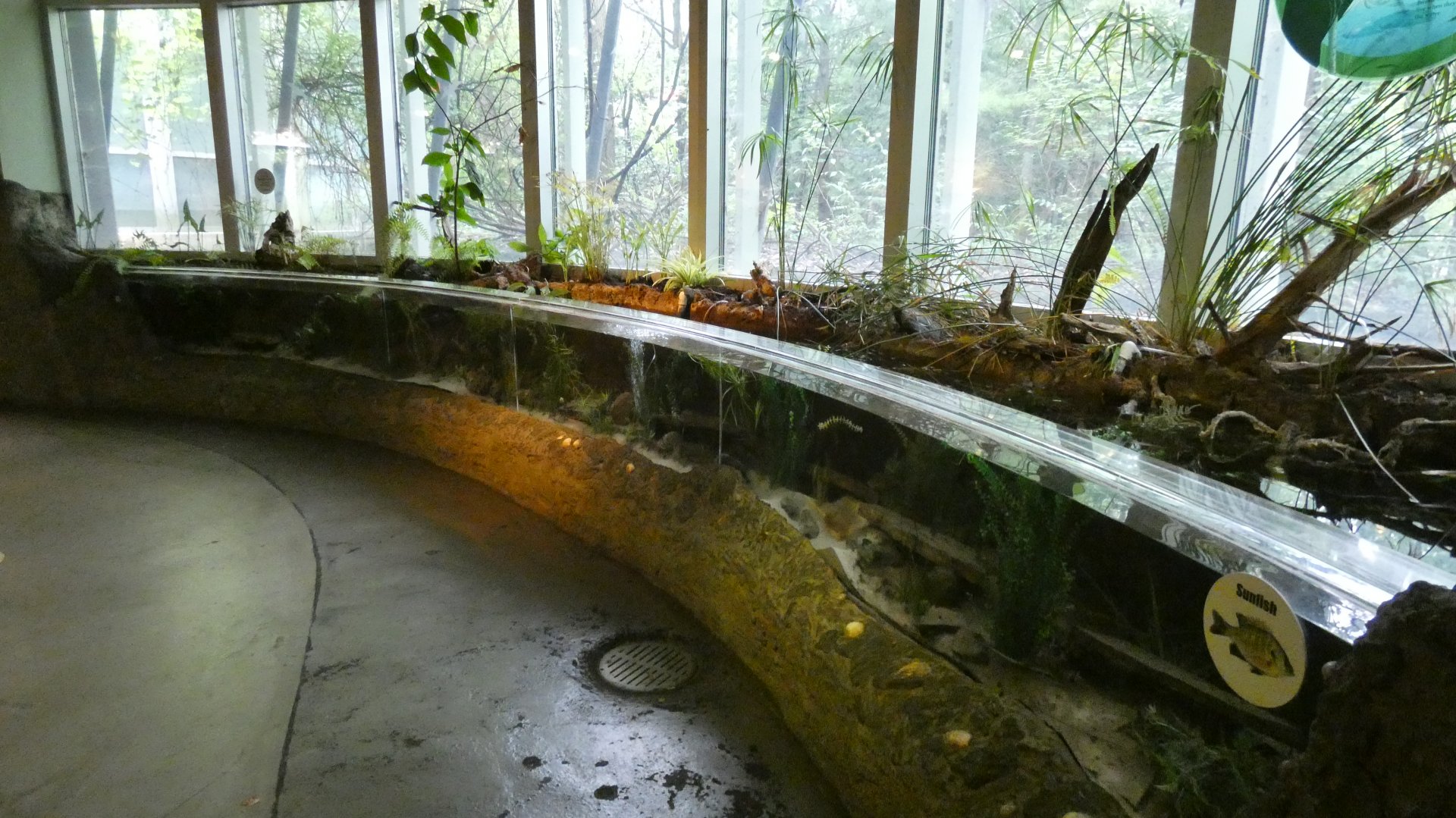 Open-topped Stream Exhibit, National Amphibian Conservation Center - July 2022
