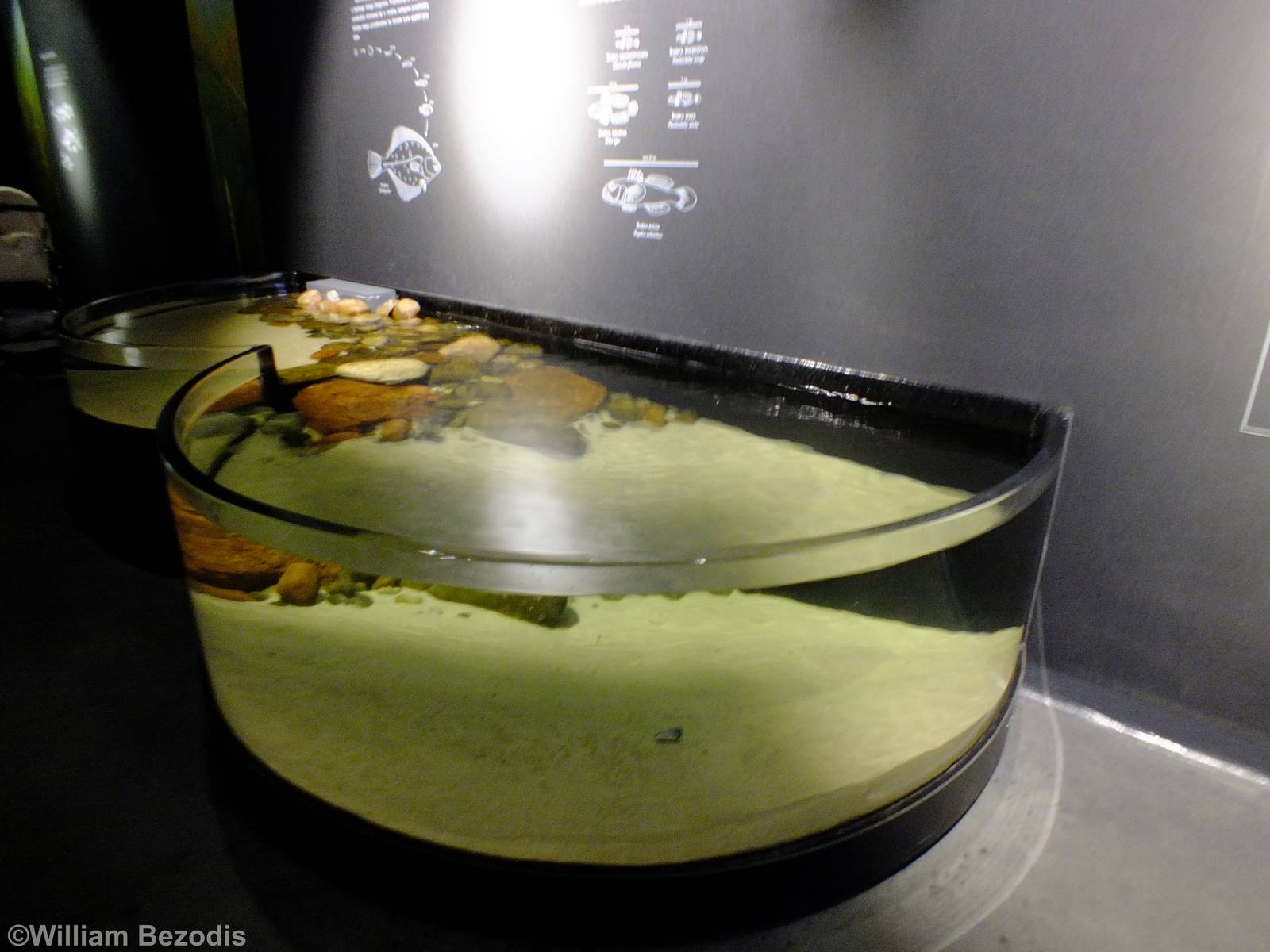 Open-topped Tank - Gdynia Aquarium