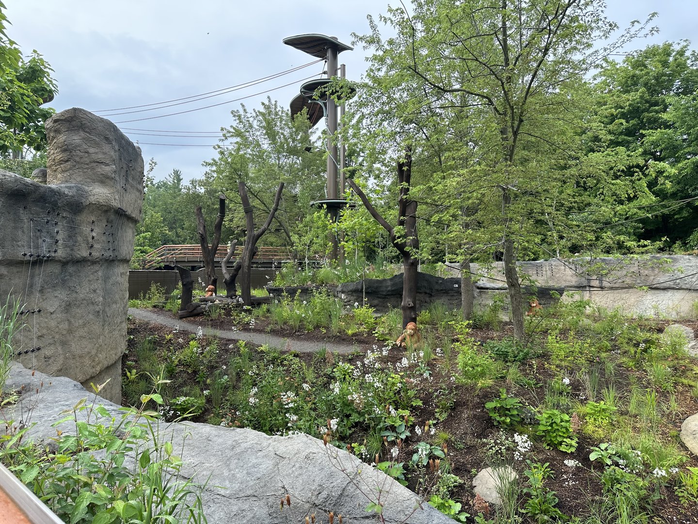 Open viewing of the exhibit