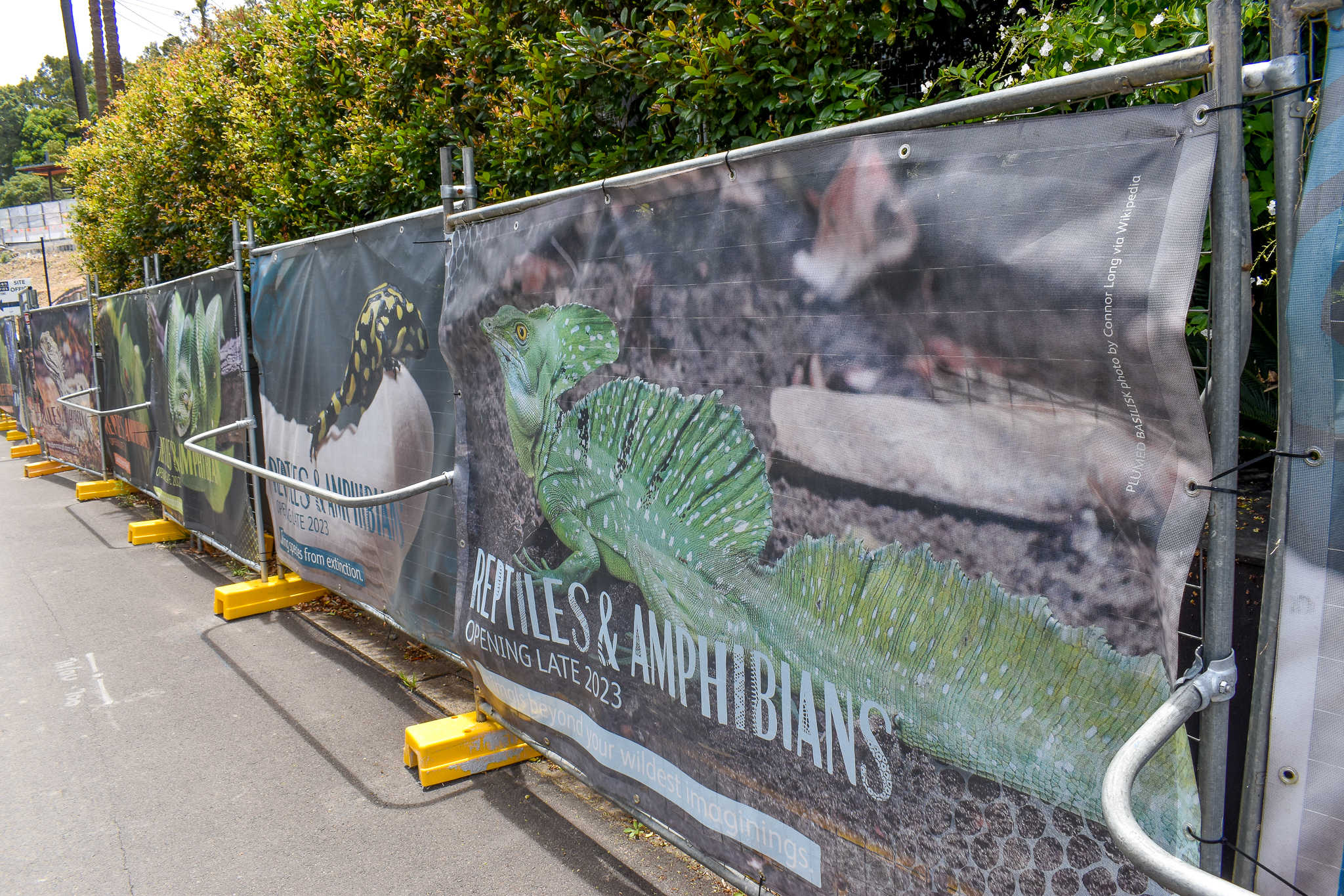 Opening 2023: New Reptile and Amphibian Conservation Centre