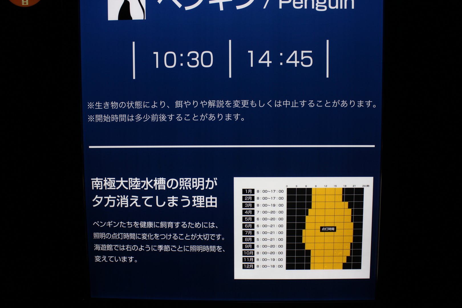 Opening light hours for penguin exhibit