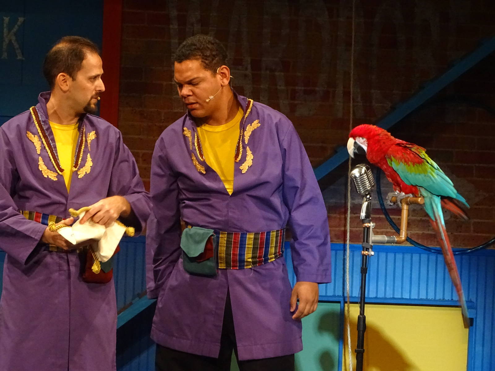 Opening Night Critters at Busch Gardens Tampa