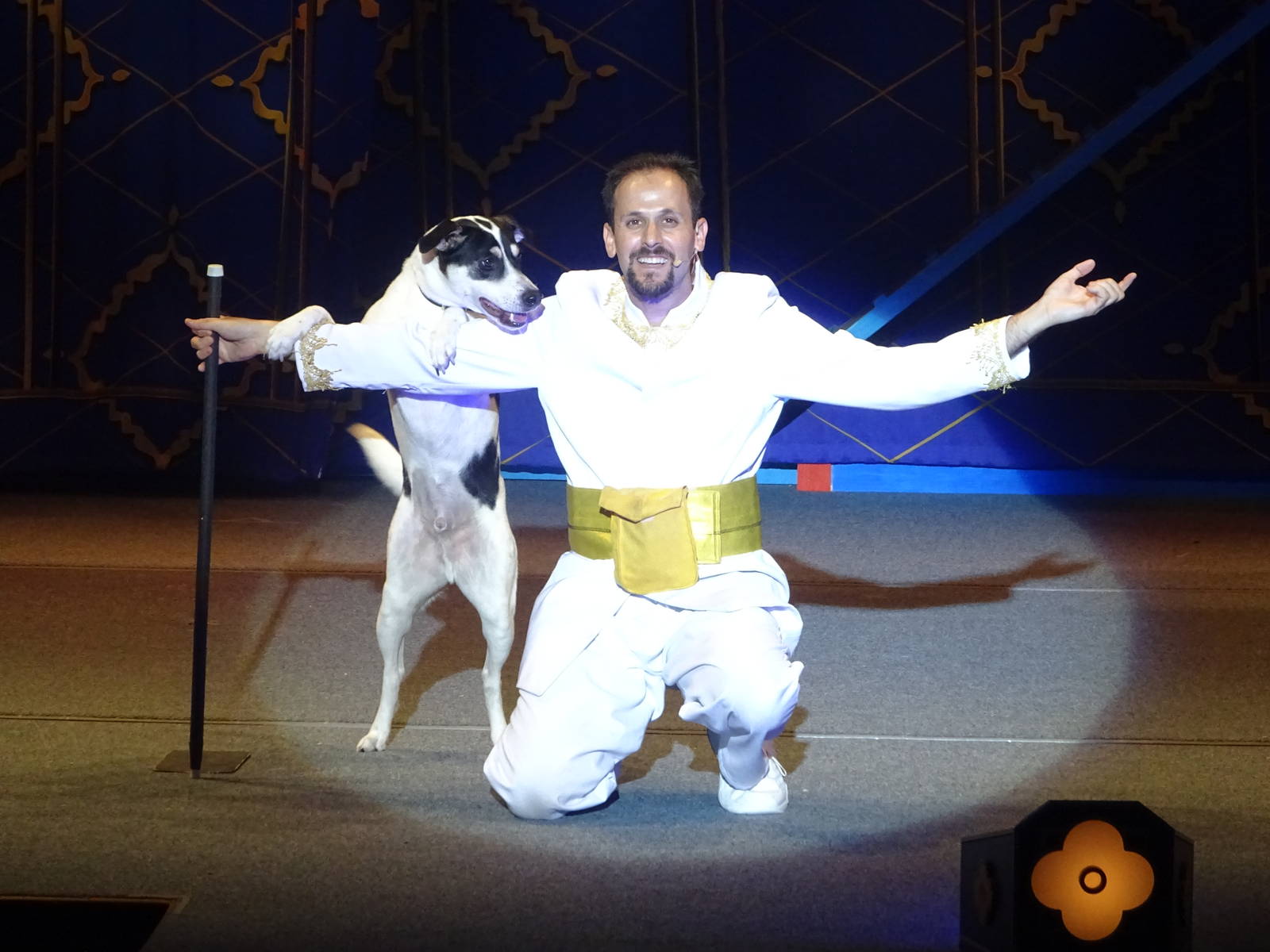 Opening Night Critters at Busch Gardens Tampa