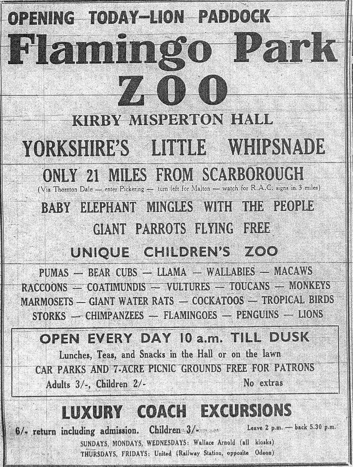 Opening of Lion Paddock