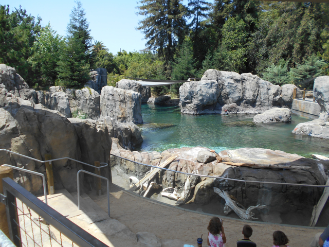Opening view of sea lion exhibit