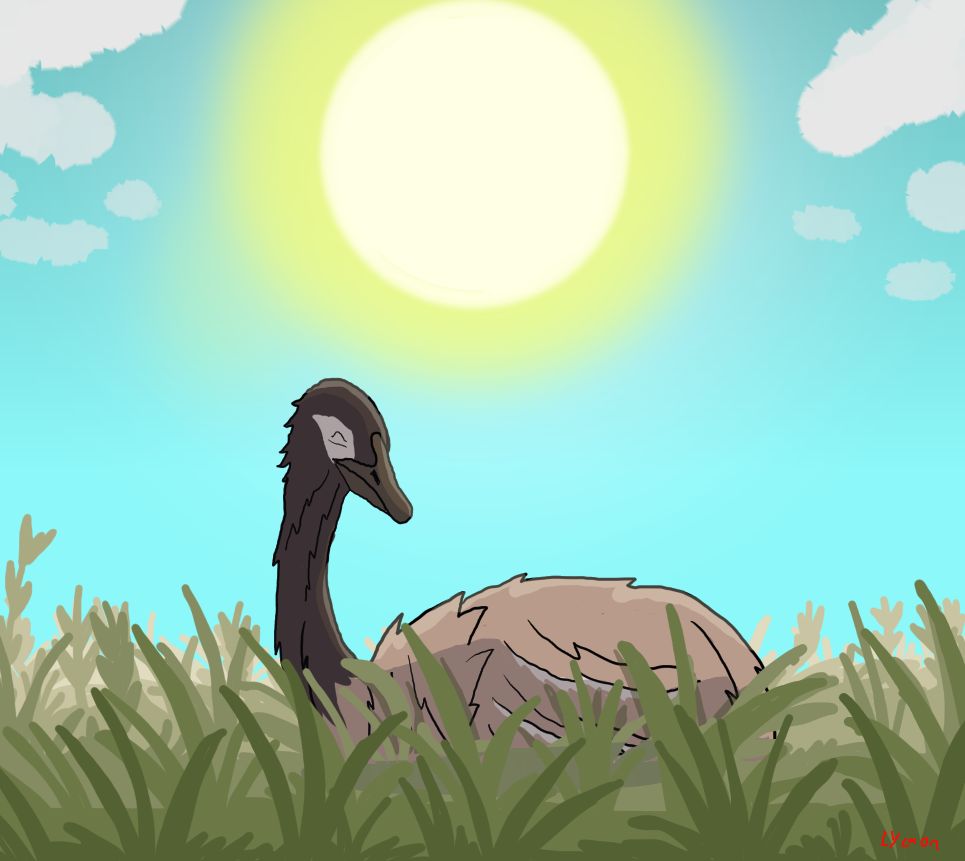 Opisthodactylus patagonicus