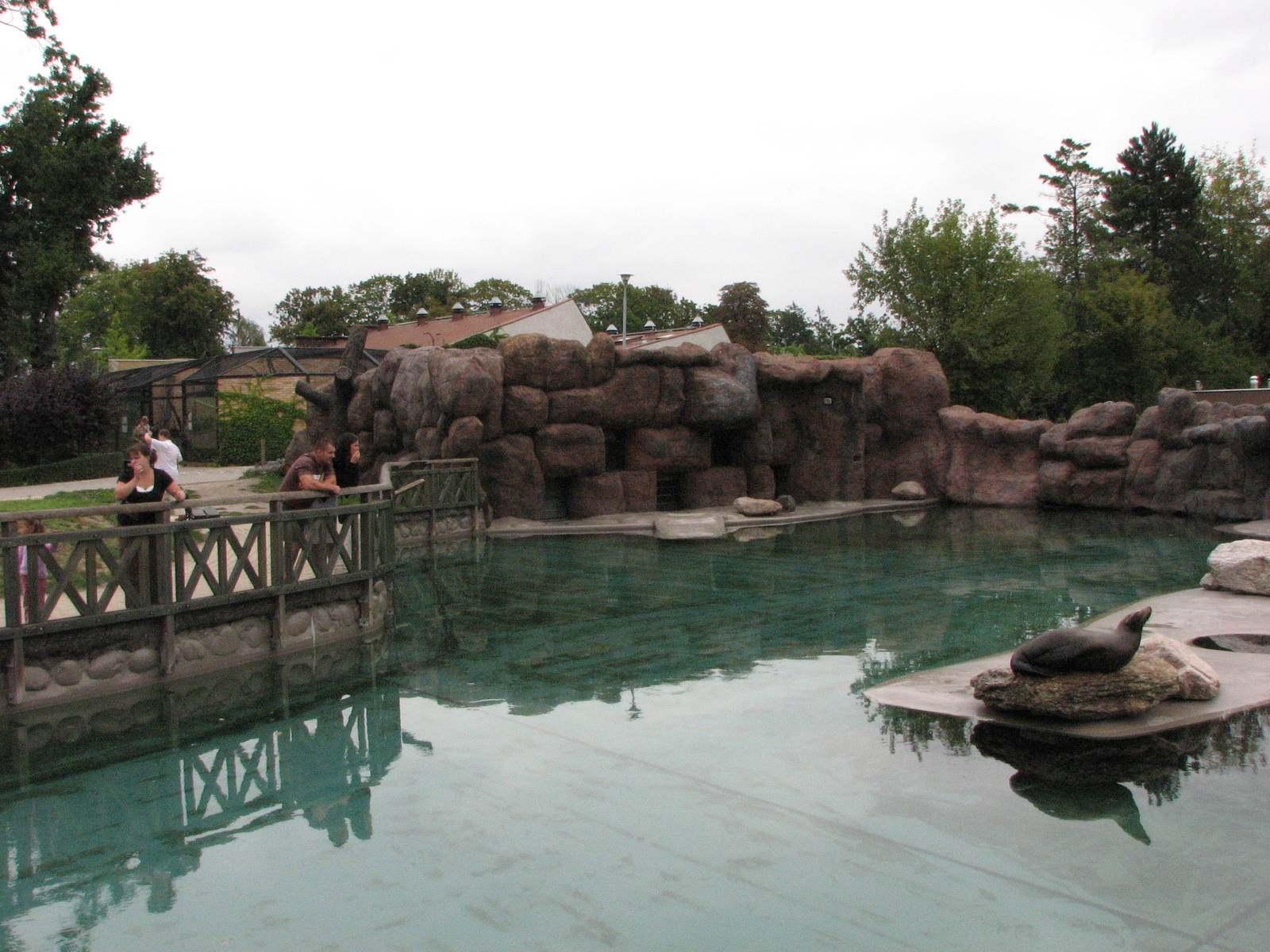 Opole Zoo 2008 - California Sea Lion pool