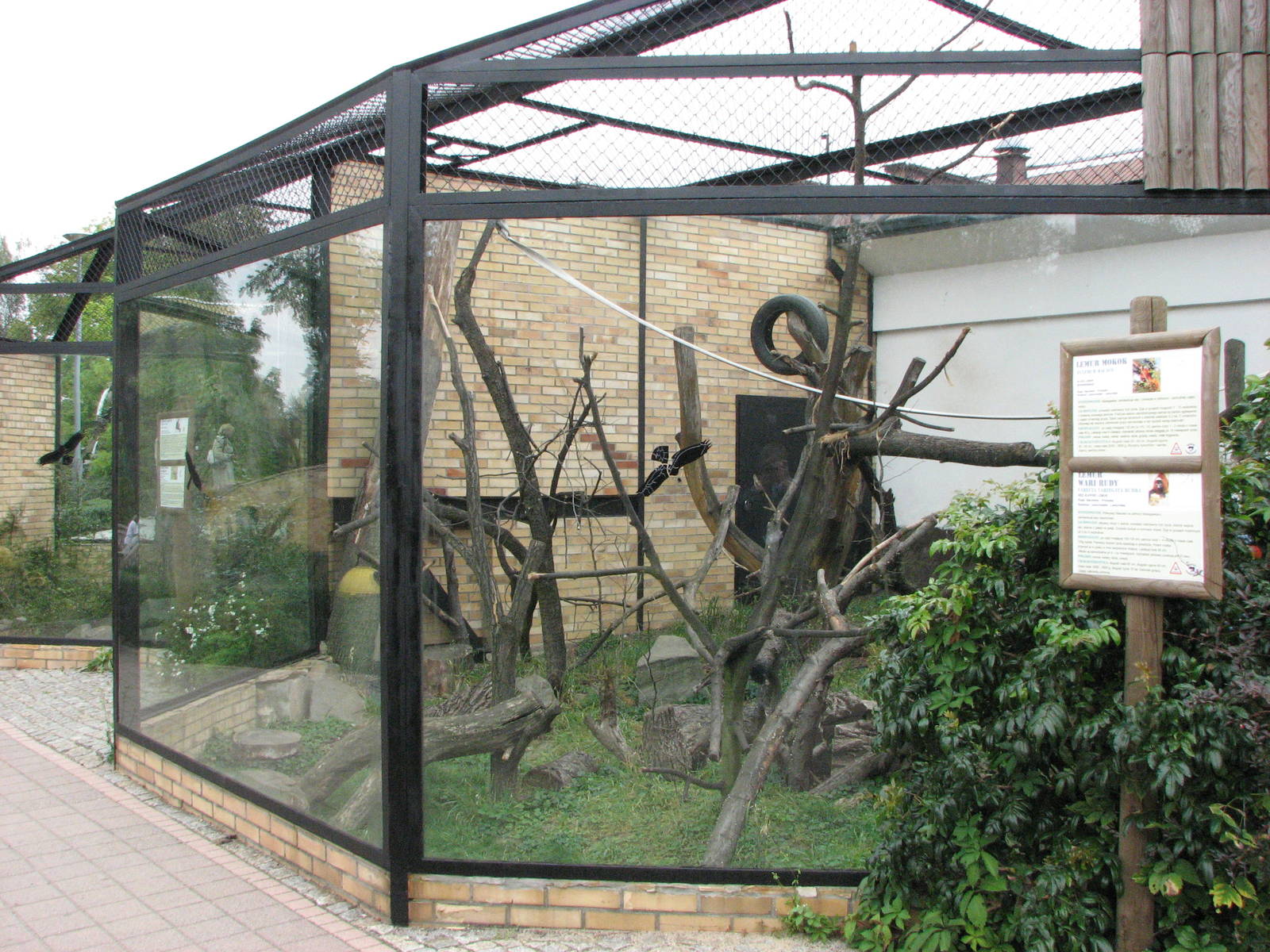 Opole Zoo 2008 - Exhibit for Red Ruffed Lemur