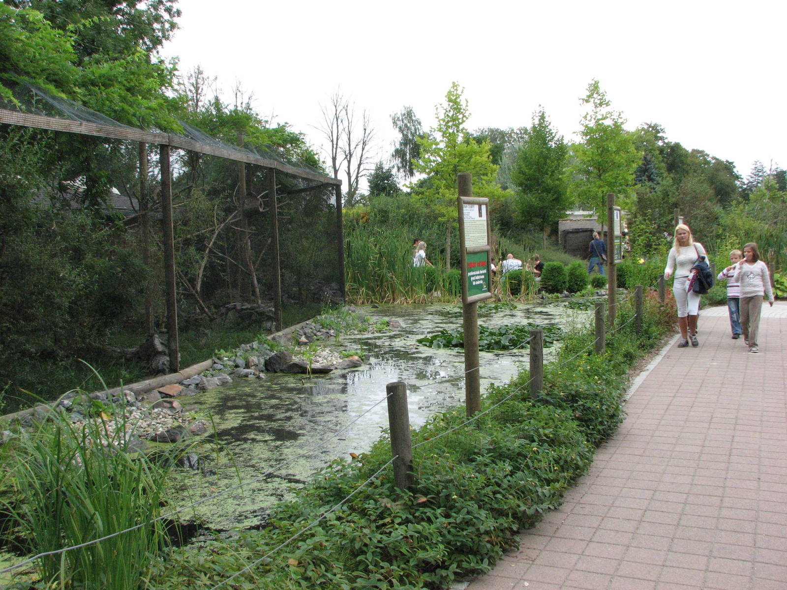 Opole Zoo 2008 - Exhibits for Marmosets and Tamarins
