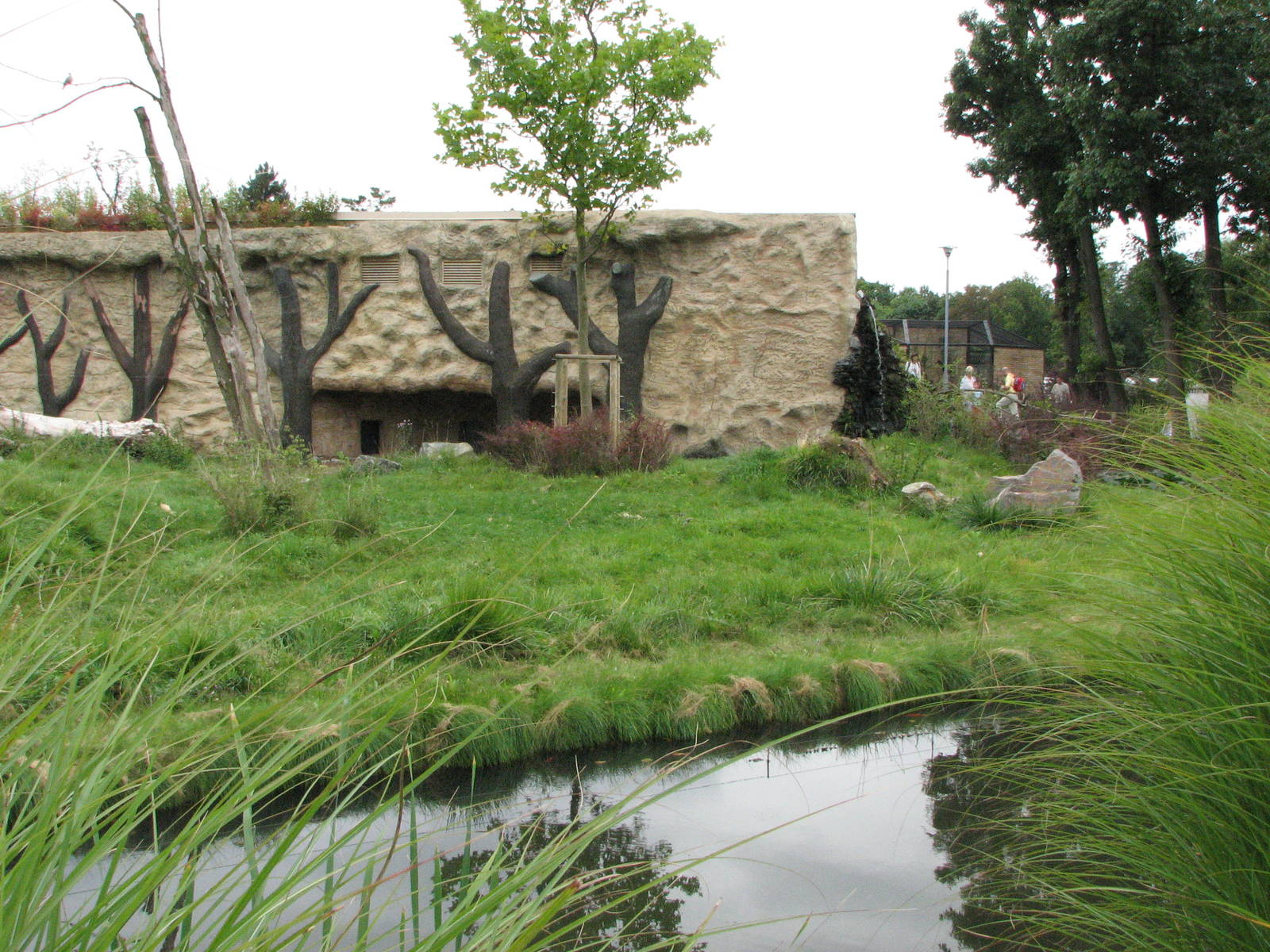 Opole Zoo 2008 - Front of the gorilla exhibit
