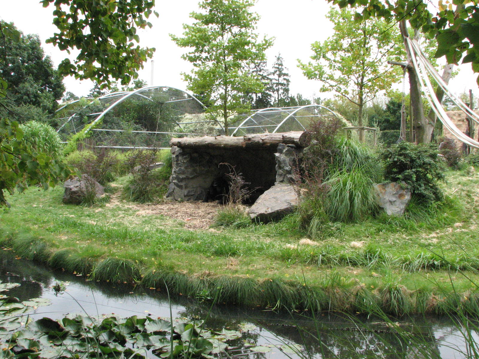 Opole Zoo 2008 - Front of the gorilla exhibit