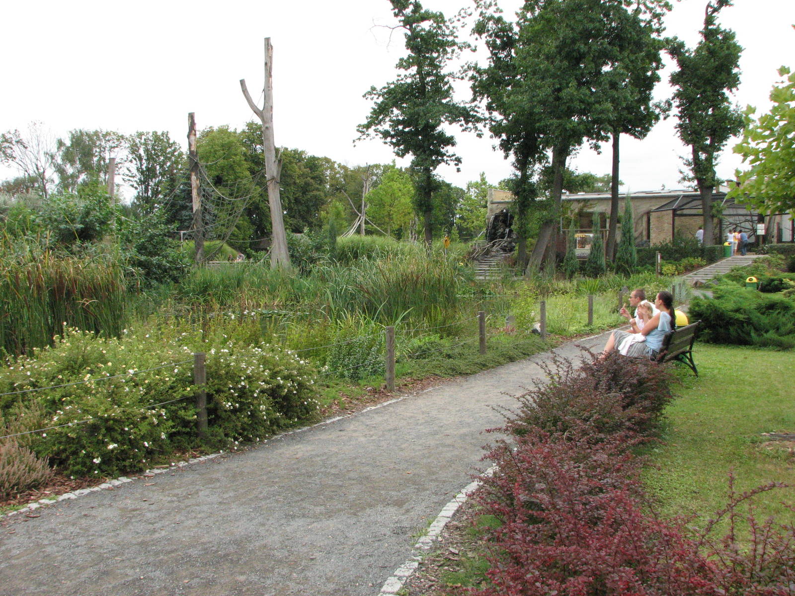 Opole Zoo 2008 - Guests sit and watch the Gibbons