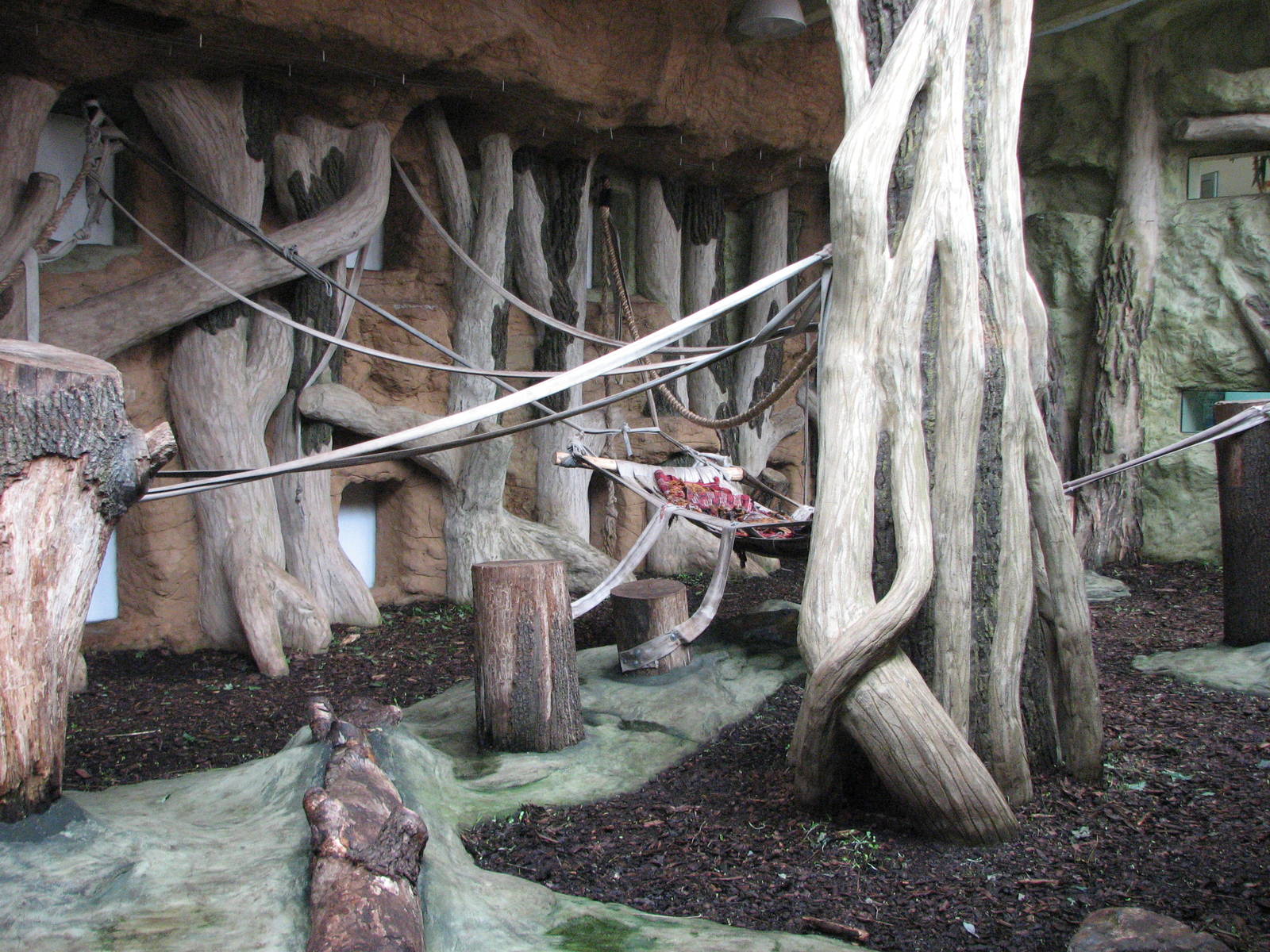 Opole Zoo 2008 - Indoor gorilla exhibit