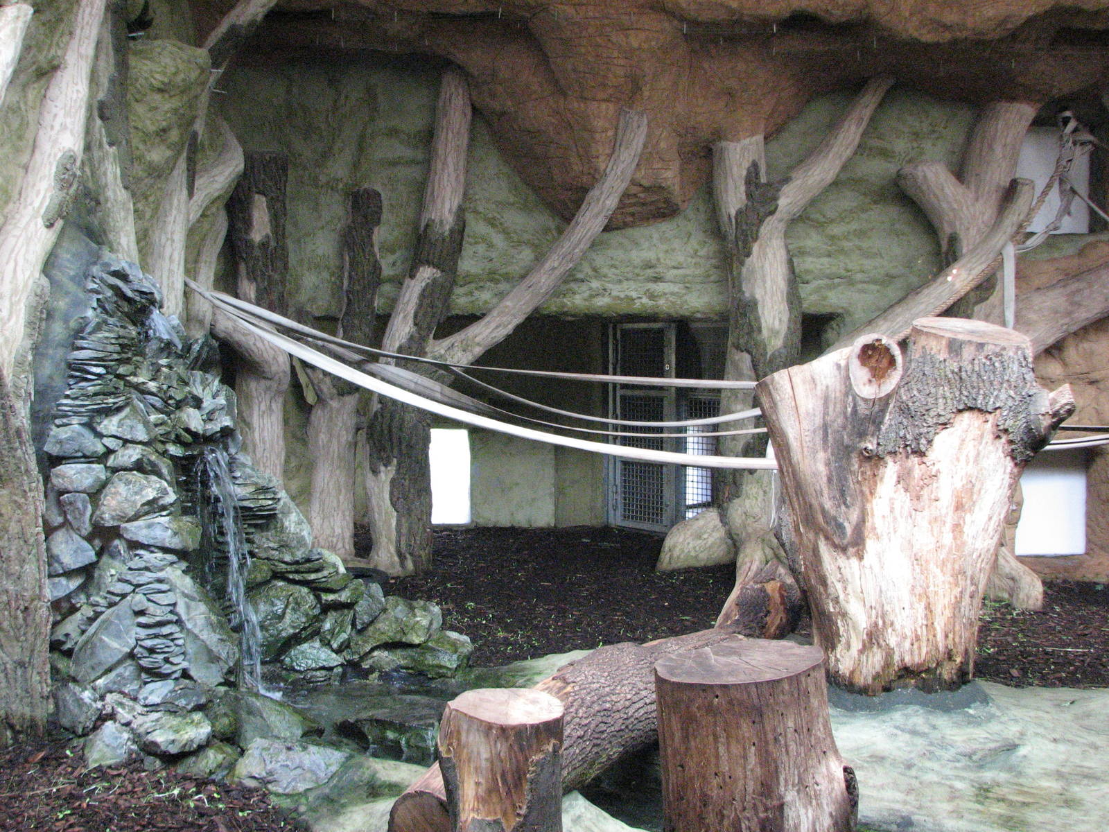 Opole Zoo 2008 - Indoor gorilla exhibit