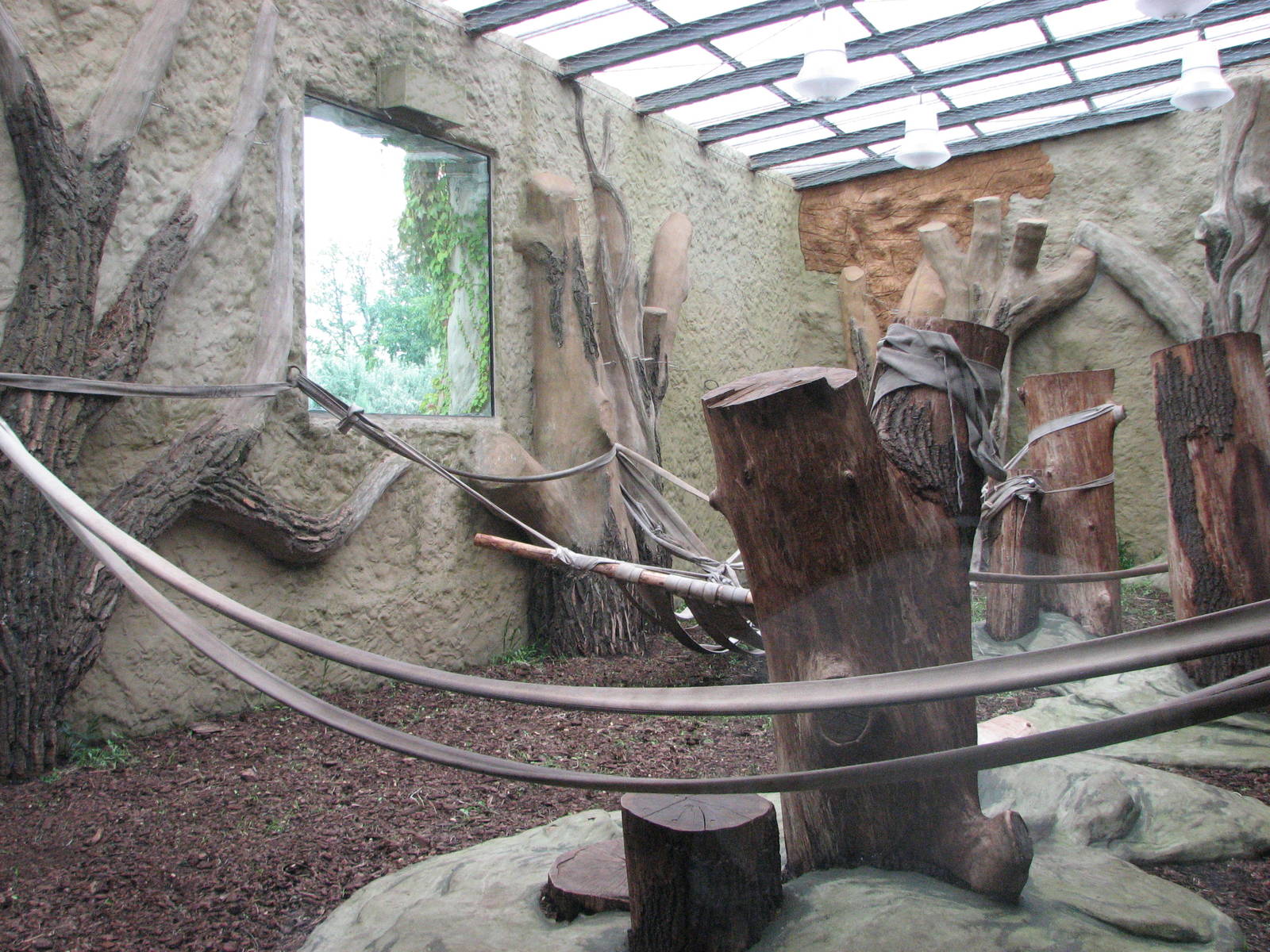 Opole Zoo 2008 - Indoor gorilla exhibit