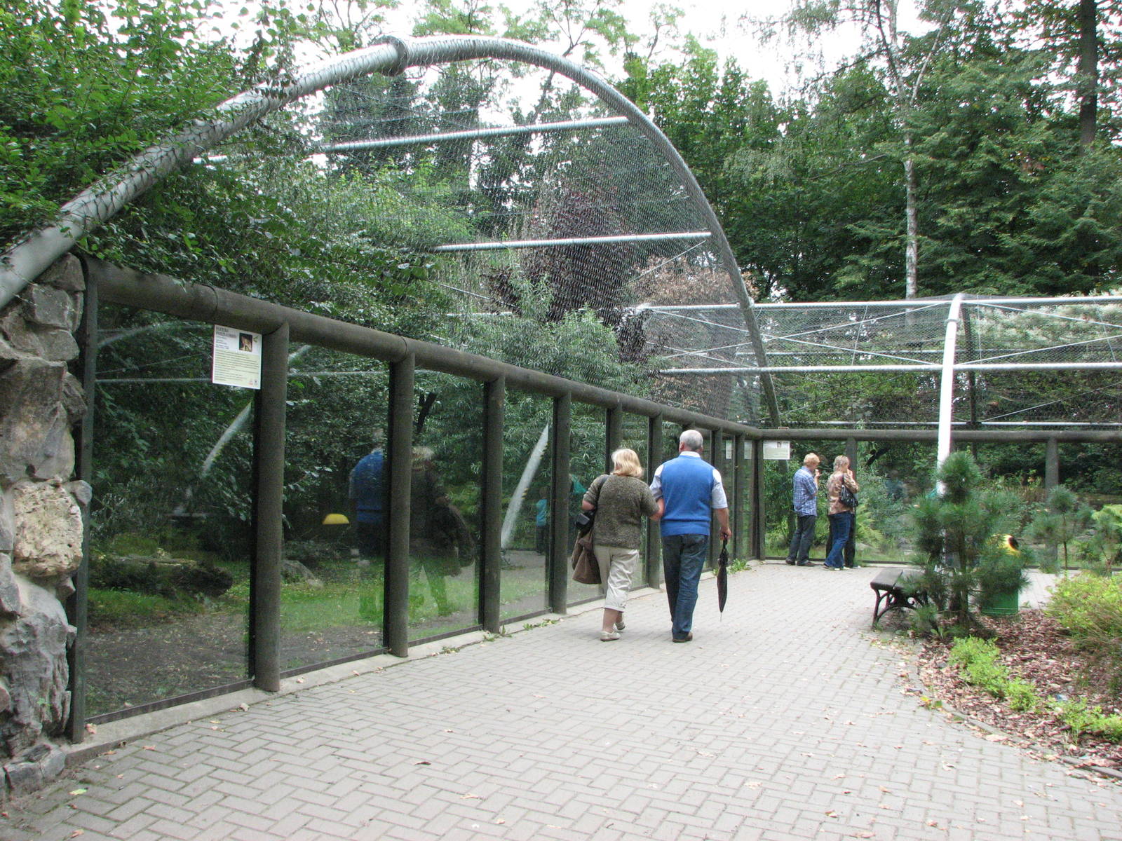 Opole Zoo 2008 - Lynx exhibit