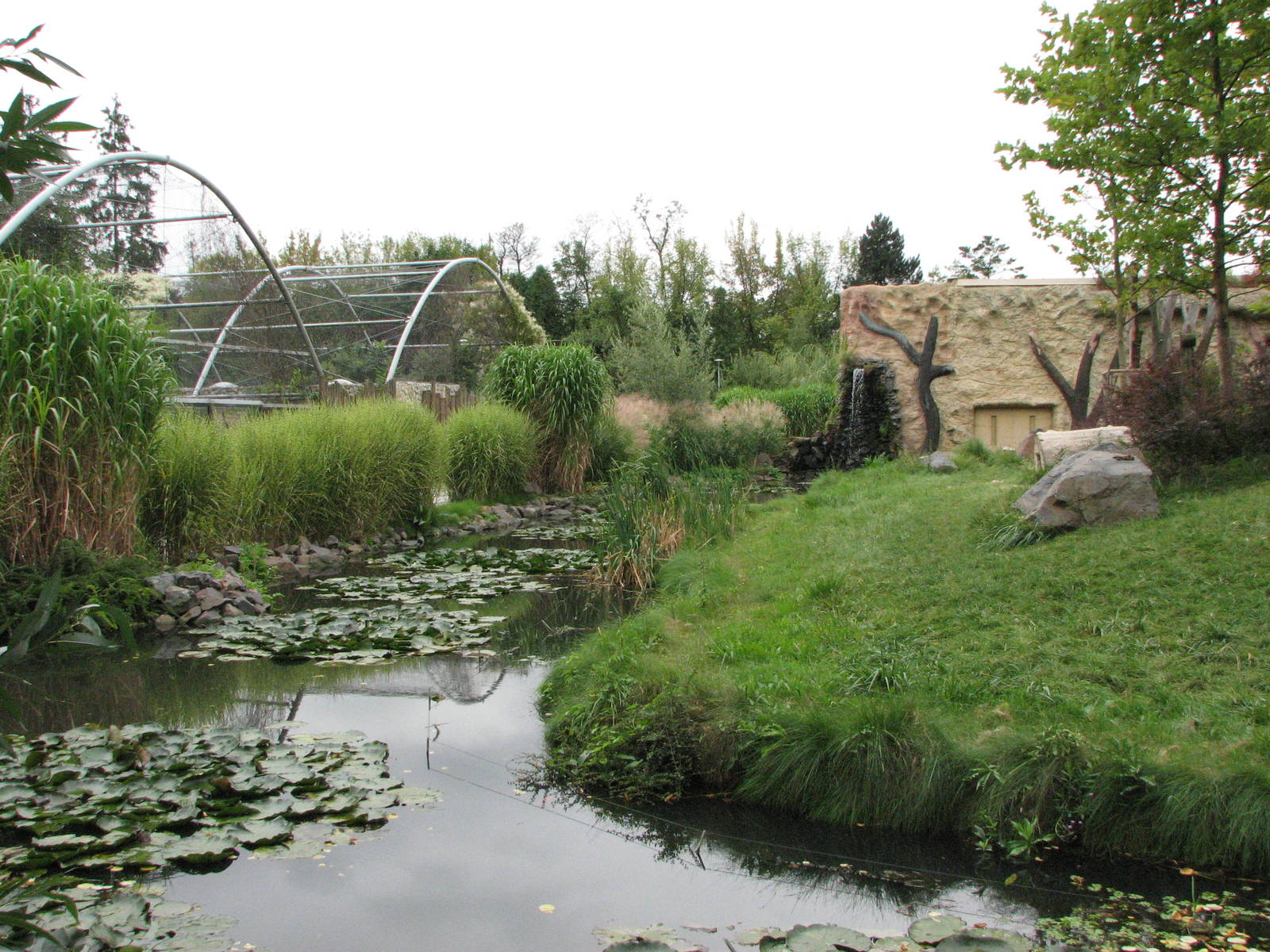 Opole Zoo 2008 - Moat of the gorilla exhibit and aviaries in the background