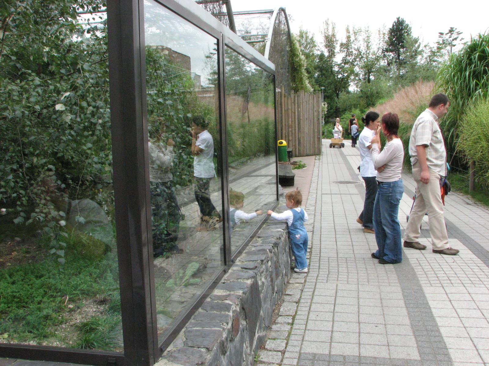 Opole Zoo 2008 - Serval exhibit