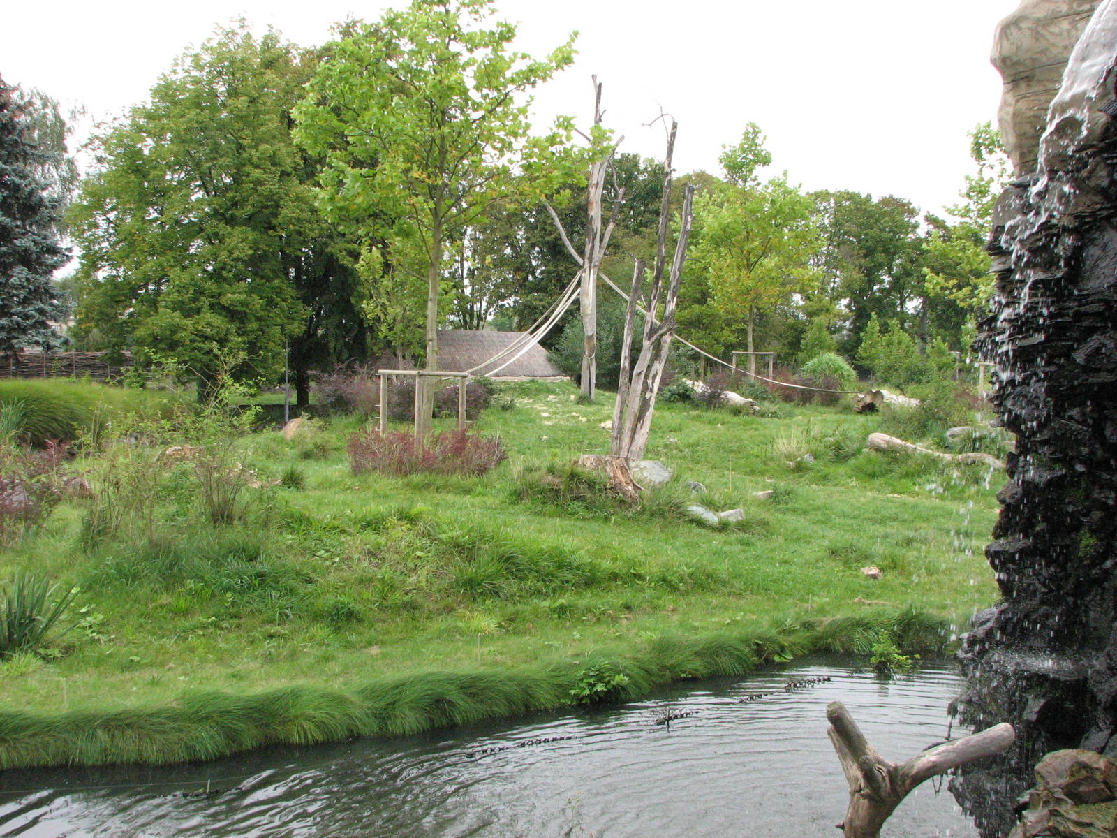 Opole Zoo 2008 - Side of the gorilla exhibit