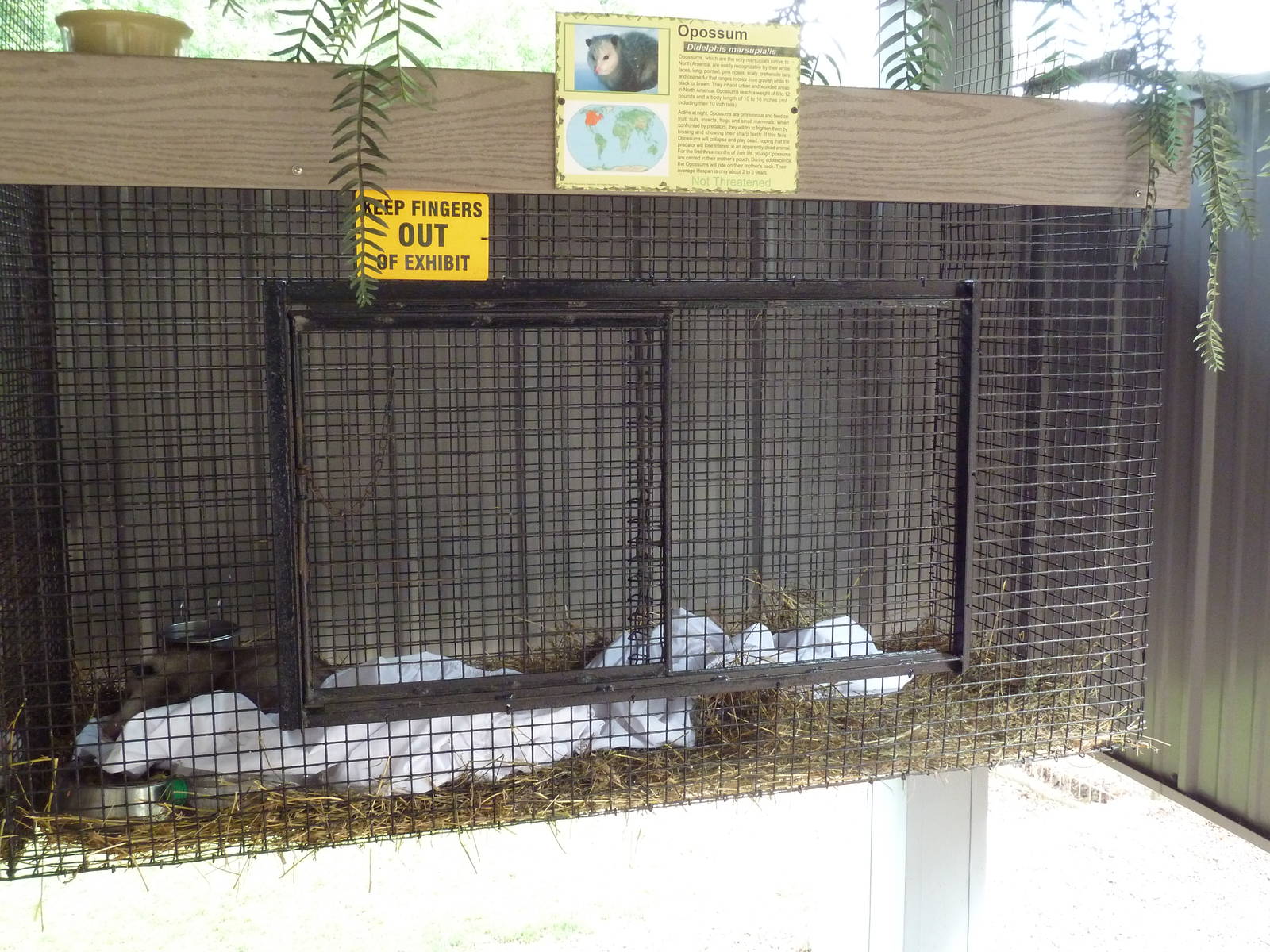 Opossum Cage