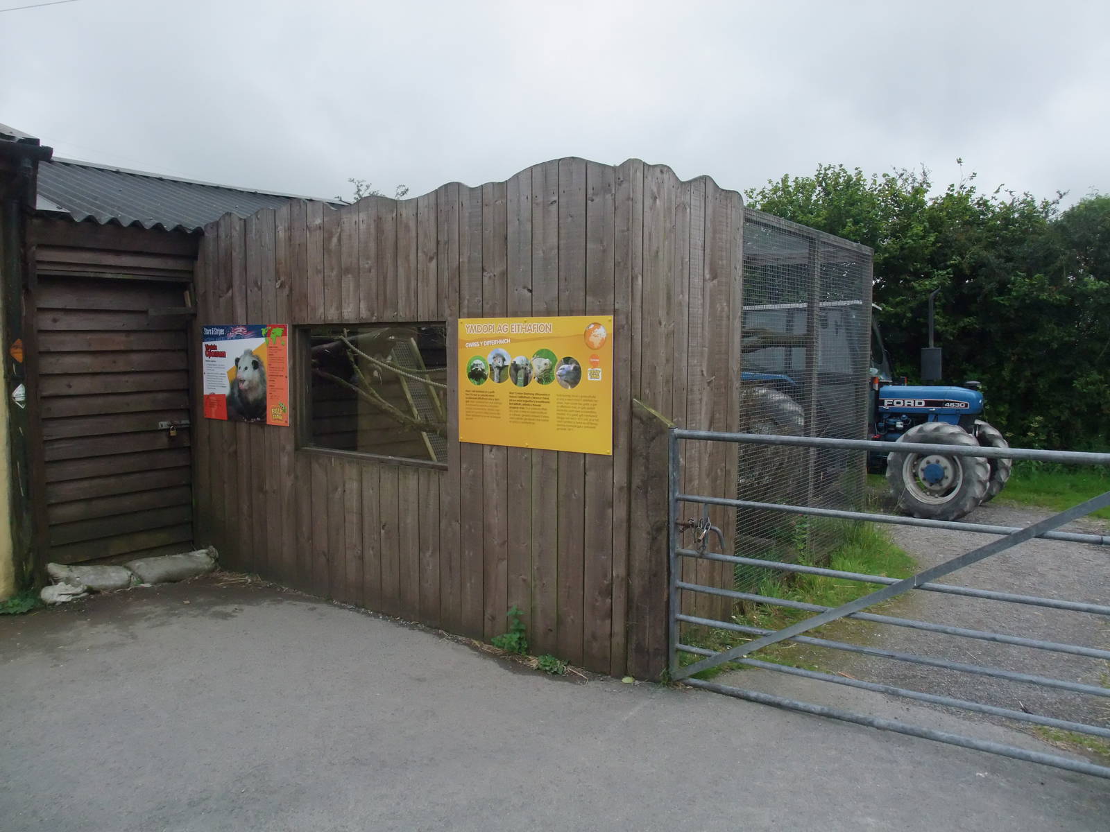 Opossum Exhibit at Folly Farm, 01/08/11