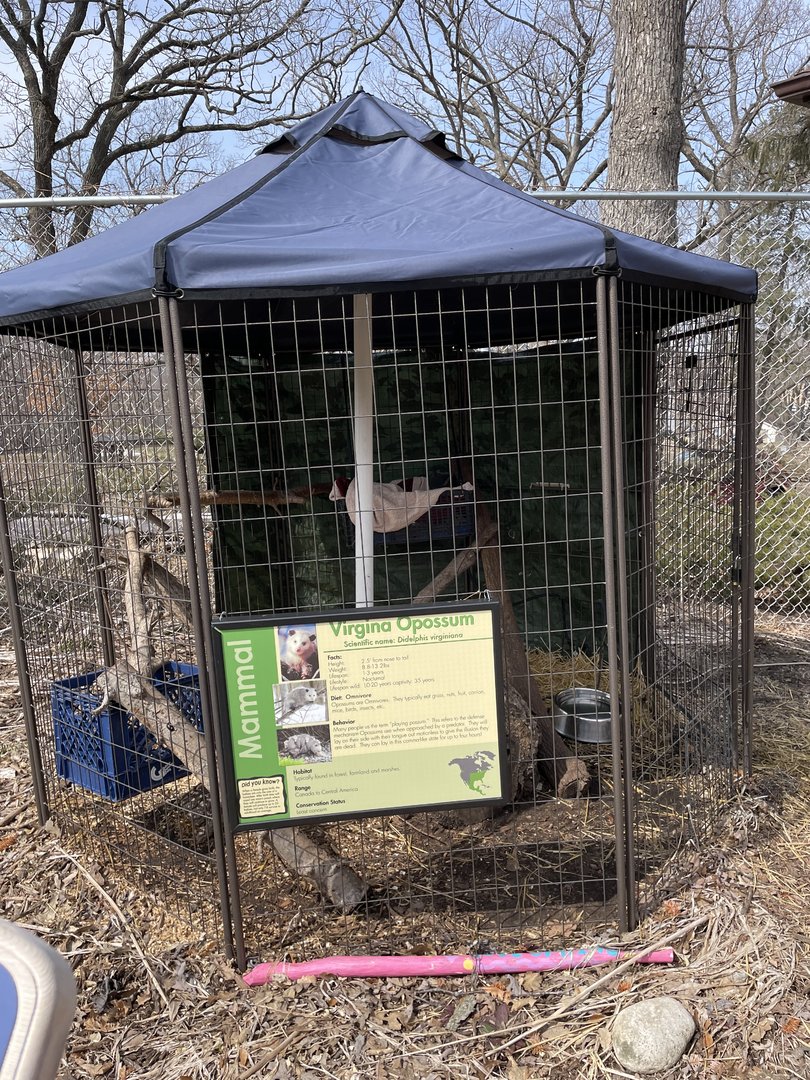 Opossum Exhibit