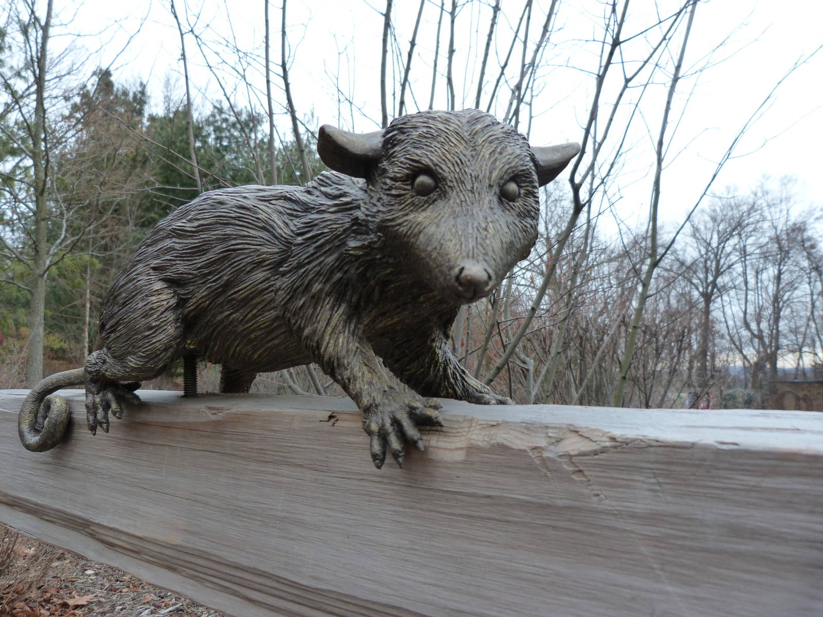 Opossum Statue